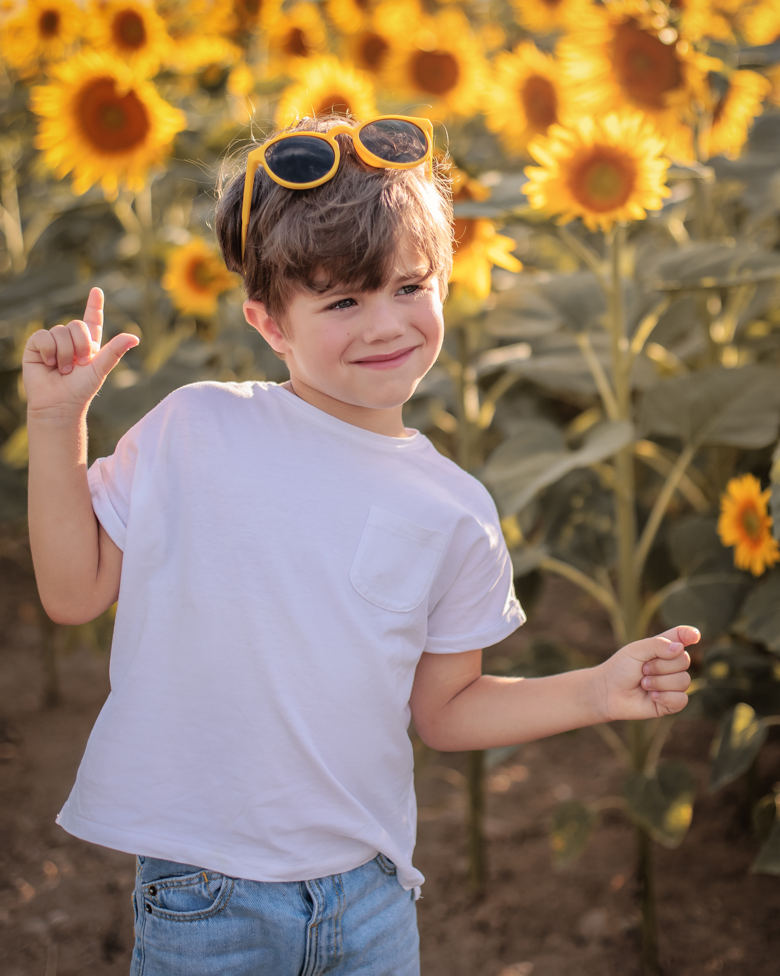 Luka (Prangins Switzerland). Home