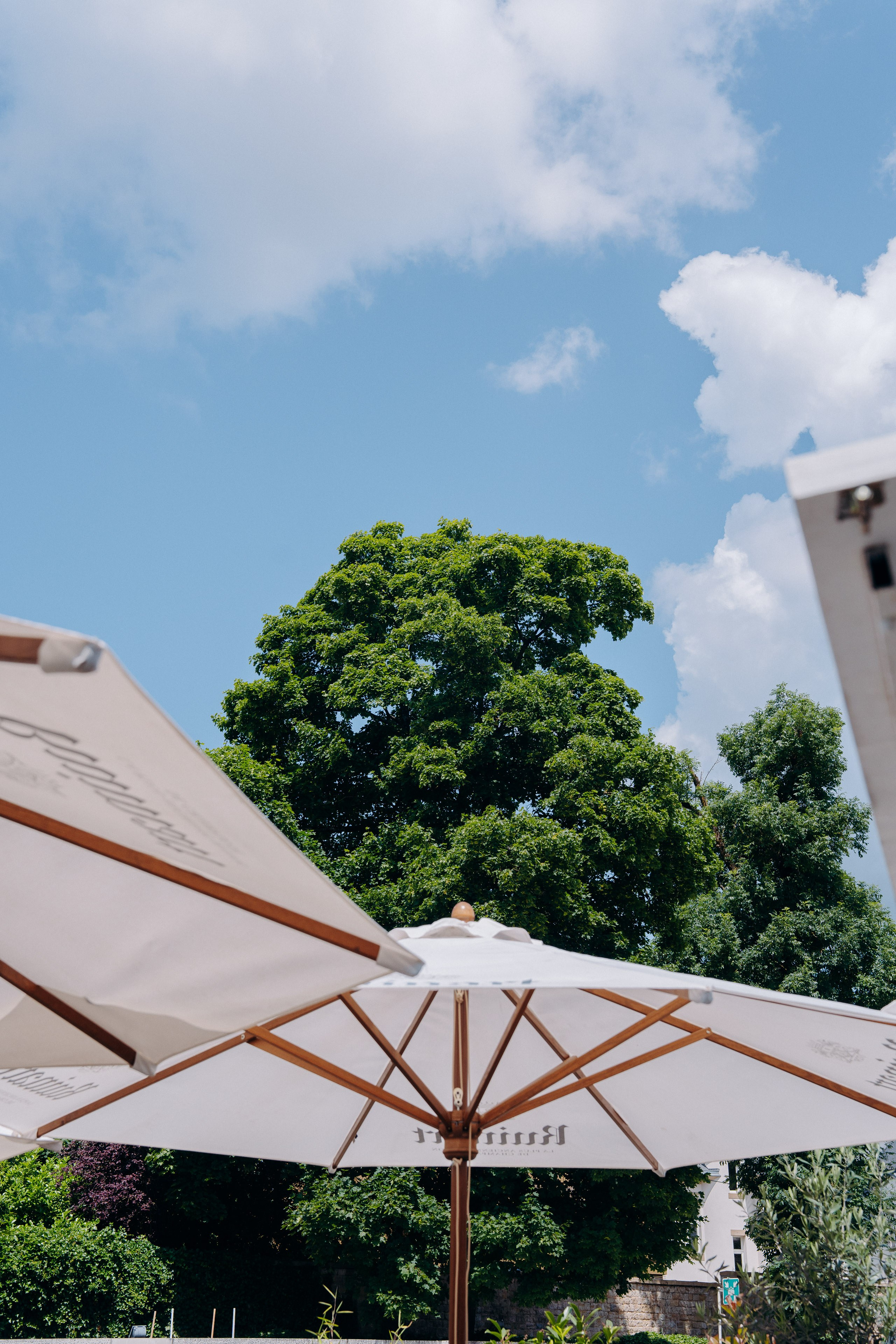 Schuman. Photographer Luxembourg