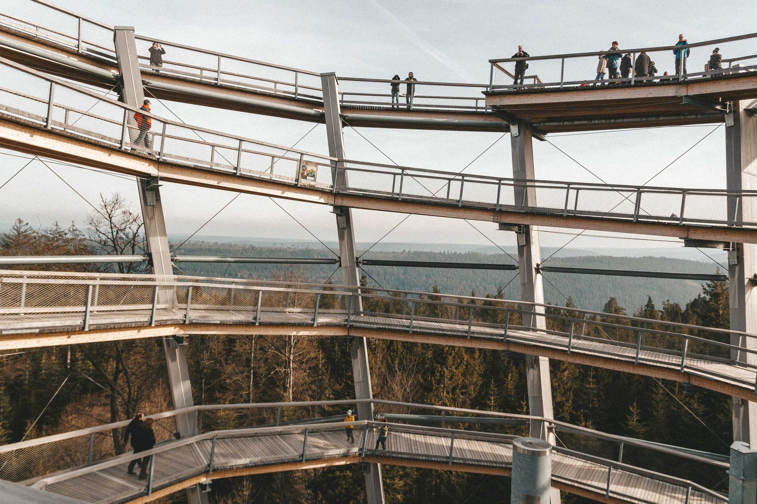 Над вершинами деревьев Baumwipfelpfad. Фотограф в Германии — Мария Чистякова