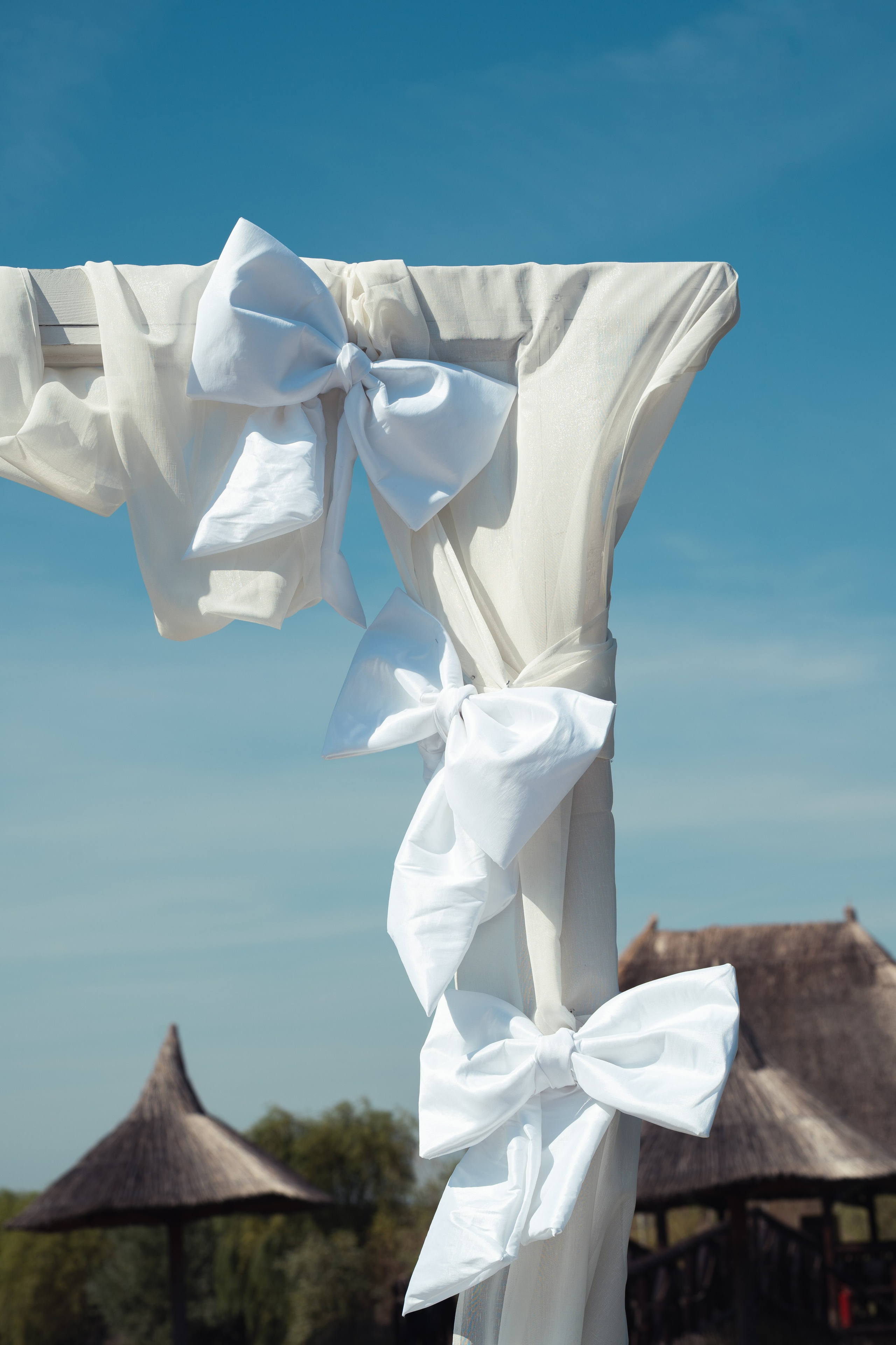 Cununie civilă - Ruxandra și Cezar