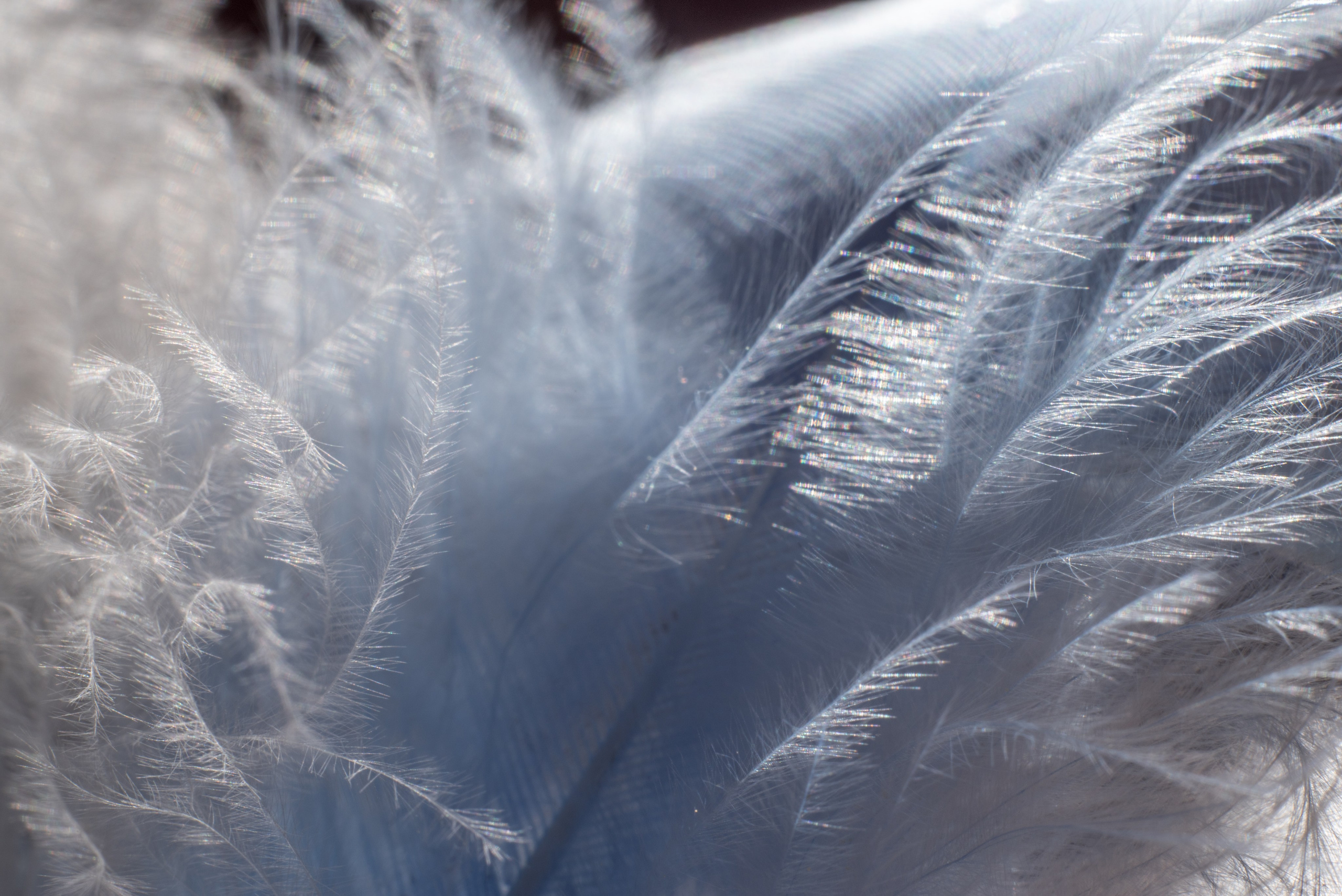 AMORE AL ARTE. Schwarz-weiß Fotografie in Münster. Fotografin Viktoria Roschen