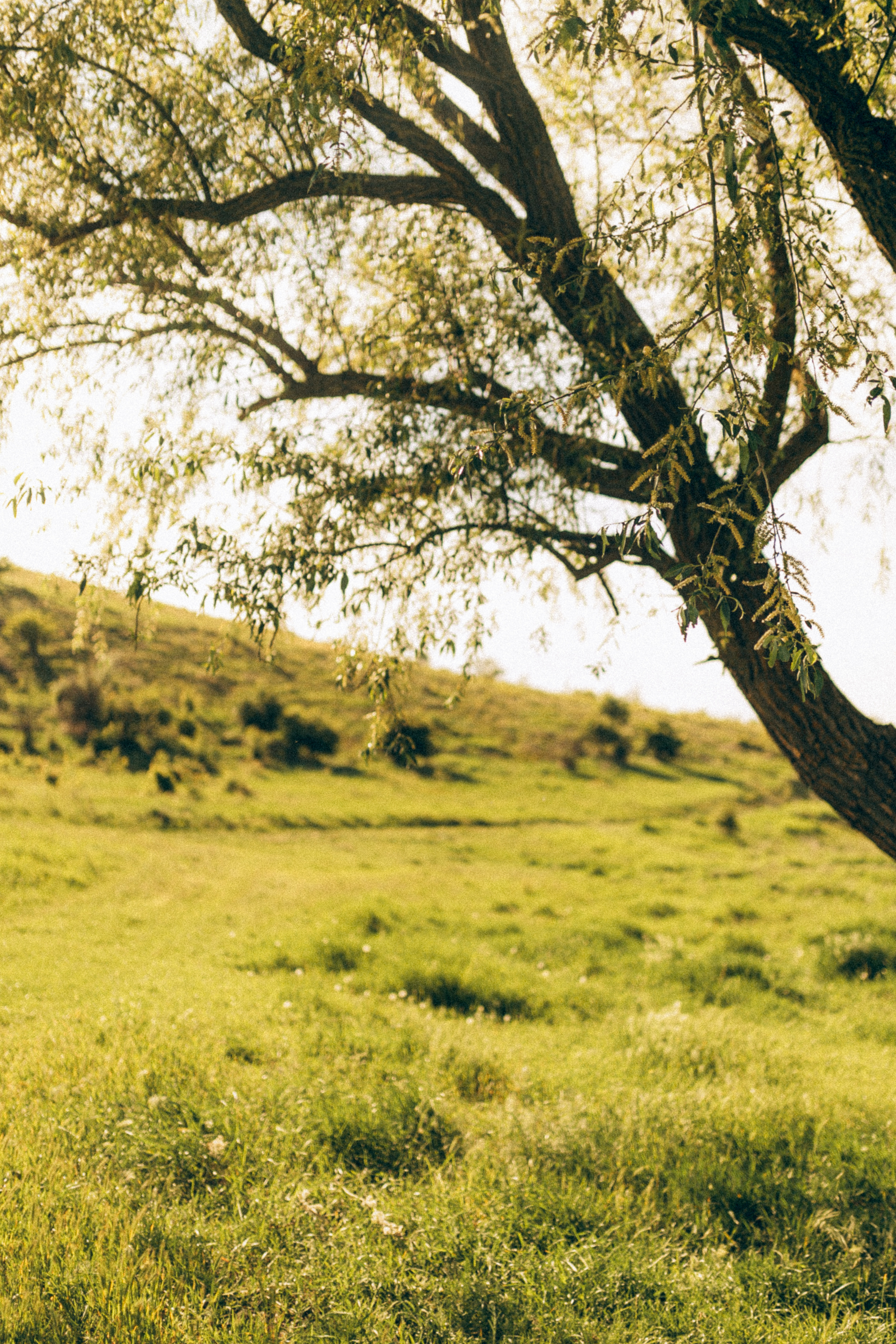 Фото-история семьи Саши и Дианы