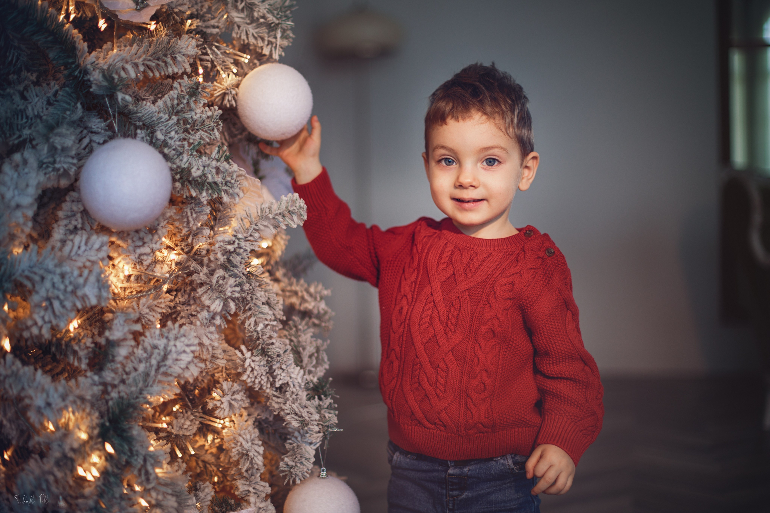 Christmas Time. Wedding, Family Photographer