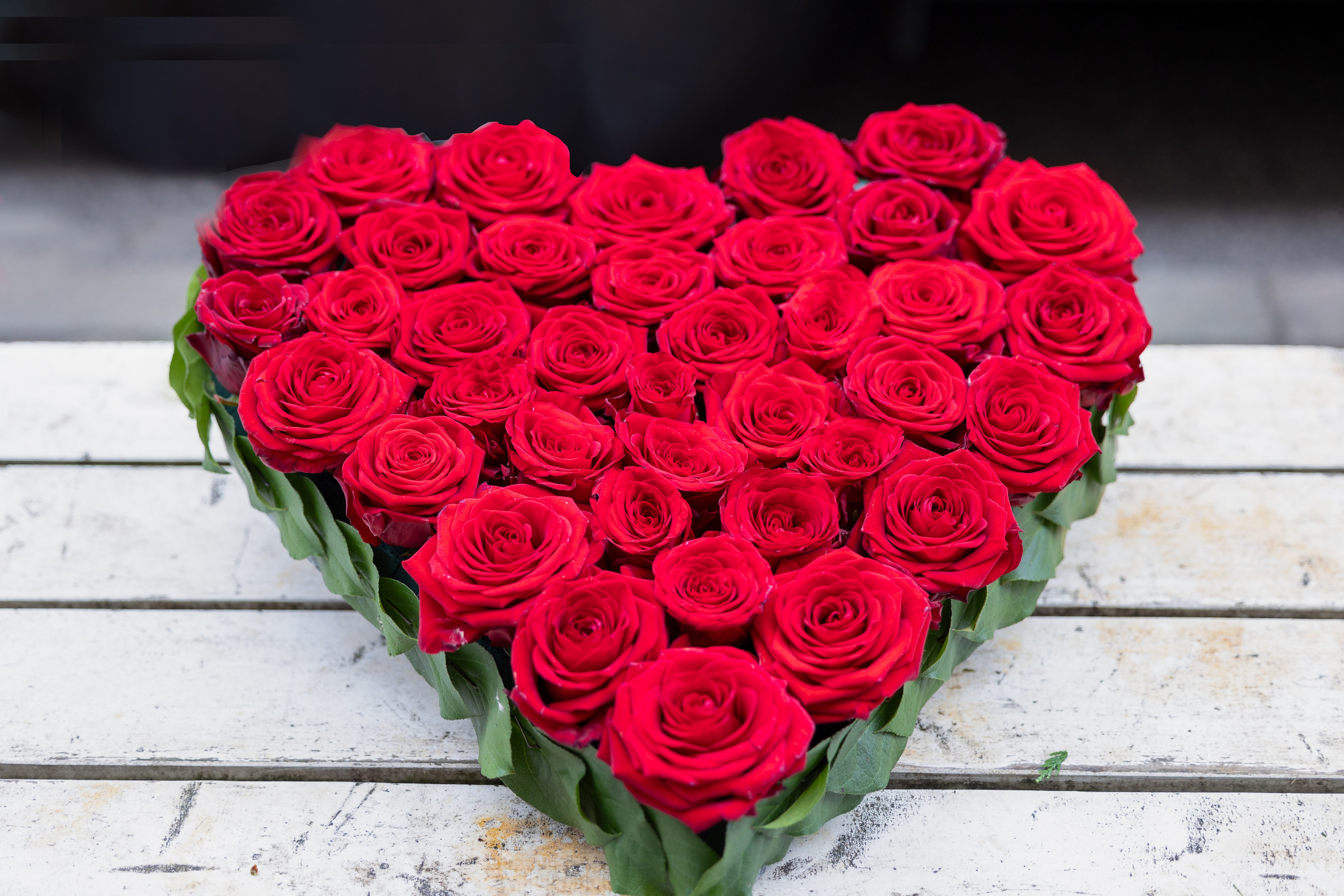 Dette smukke hjerte af røde roser er et kraftfuldt symbol på kærlighed og sorg. Den intense røde farve udtrykker dyb kærlighed, passion og hengivelse, og den hjerteformede sammensætning symboliserer den afdødes plads i dit hjerte.