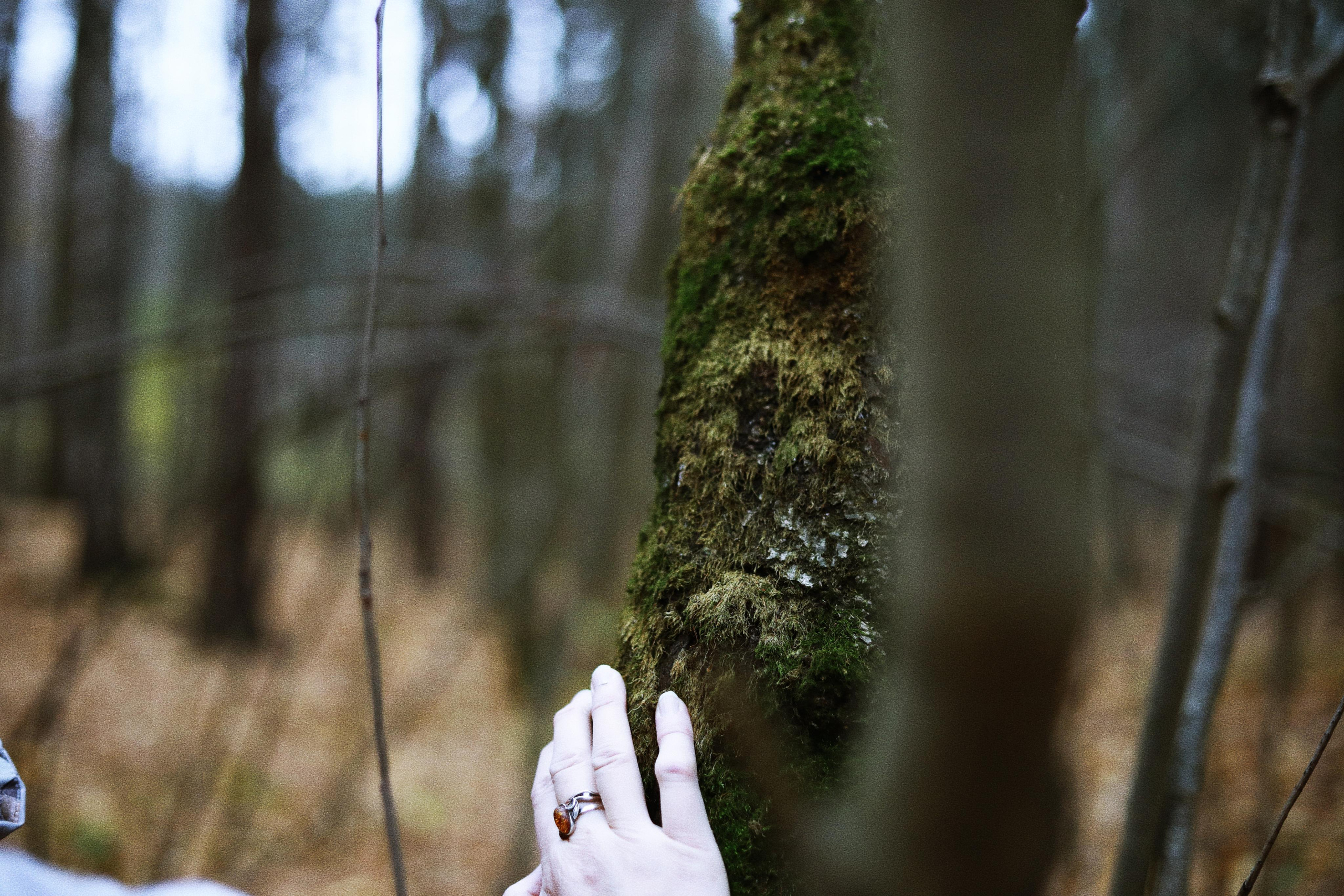 Portfolio. Victoria Dini. Art photography in London / Folkestone, UK