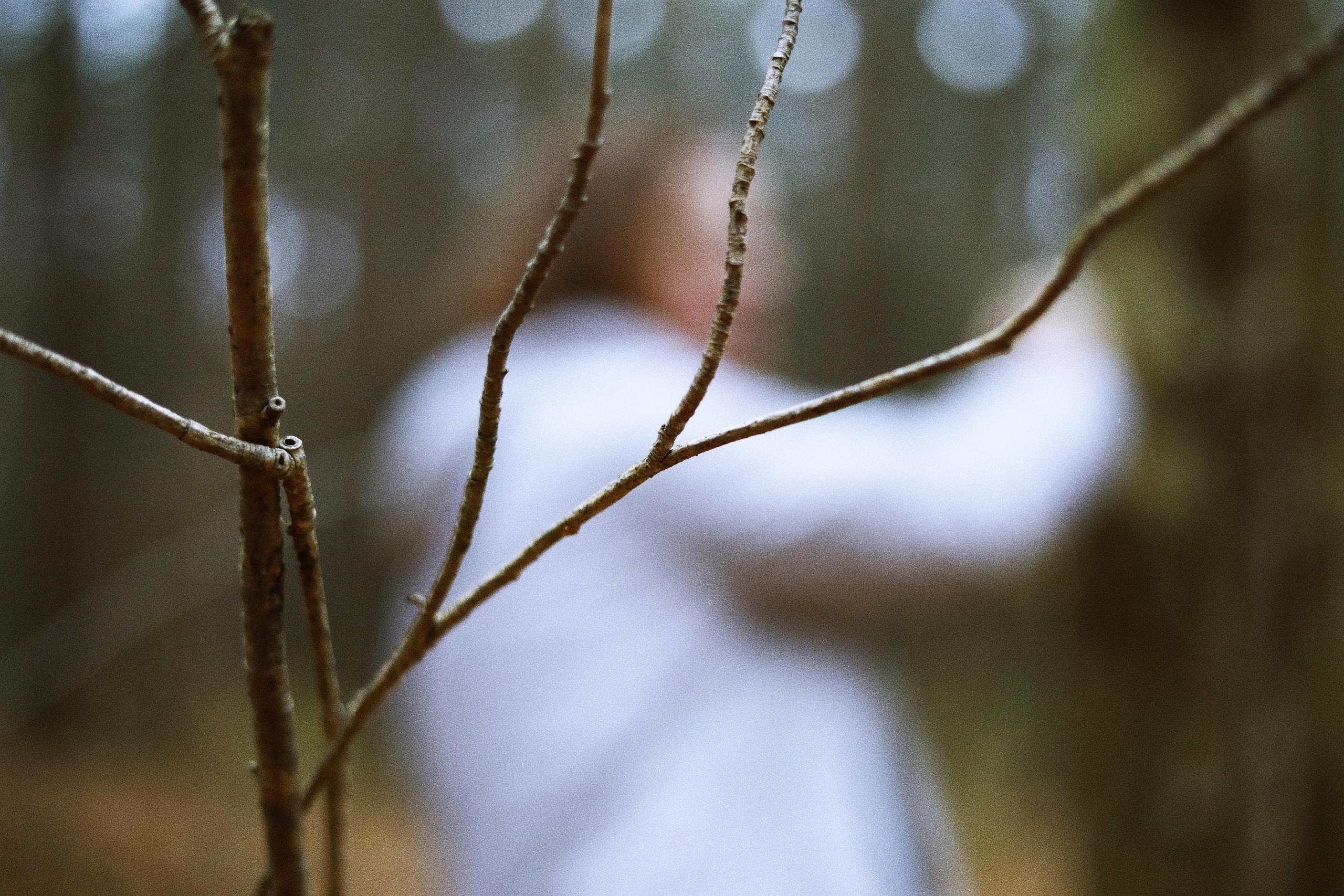 Portfolio. Victoria Dini. Art photography in London / Folkestone, UK