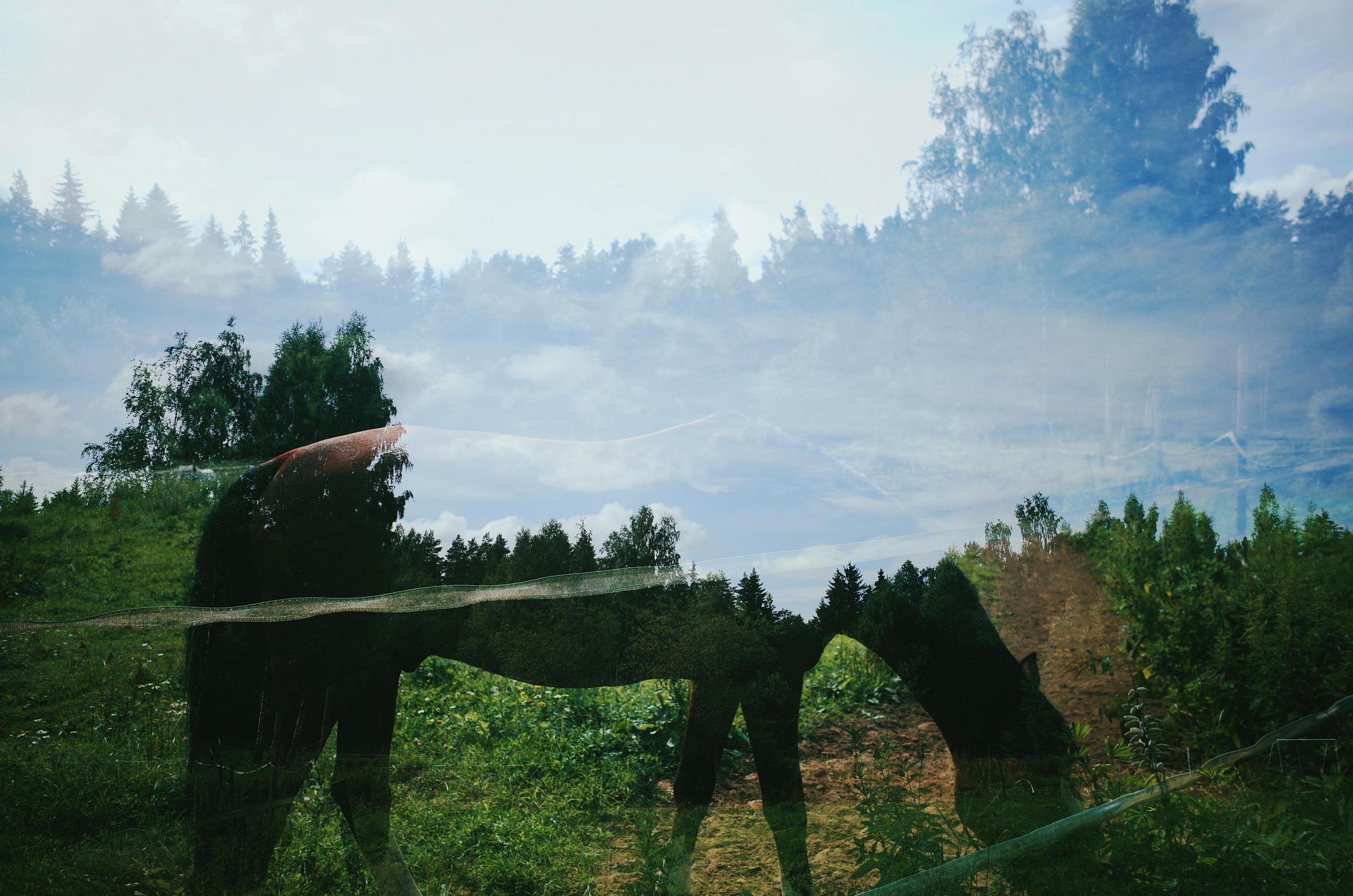 Portfolio. Victoria Dini. Art photography in London / Folkestone, UK