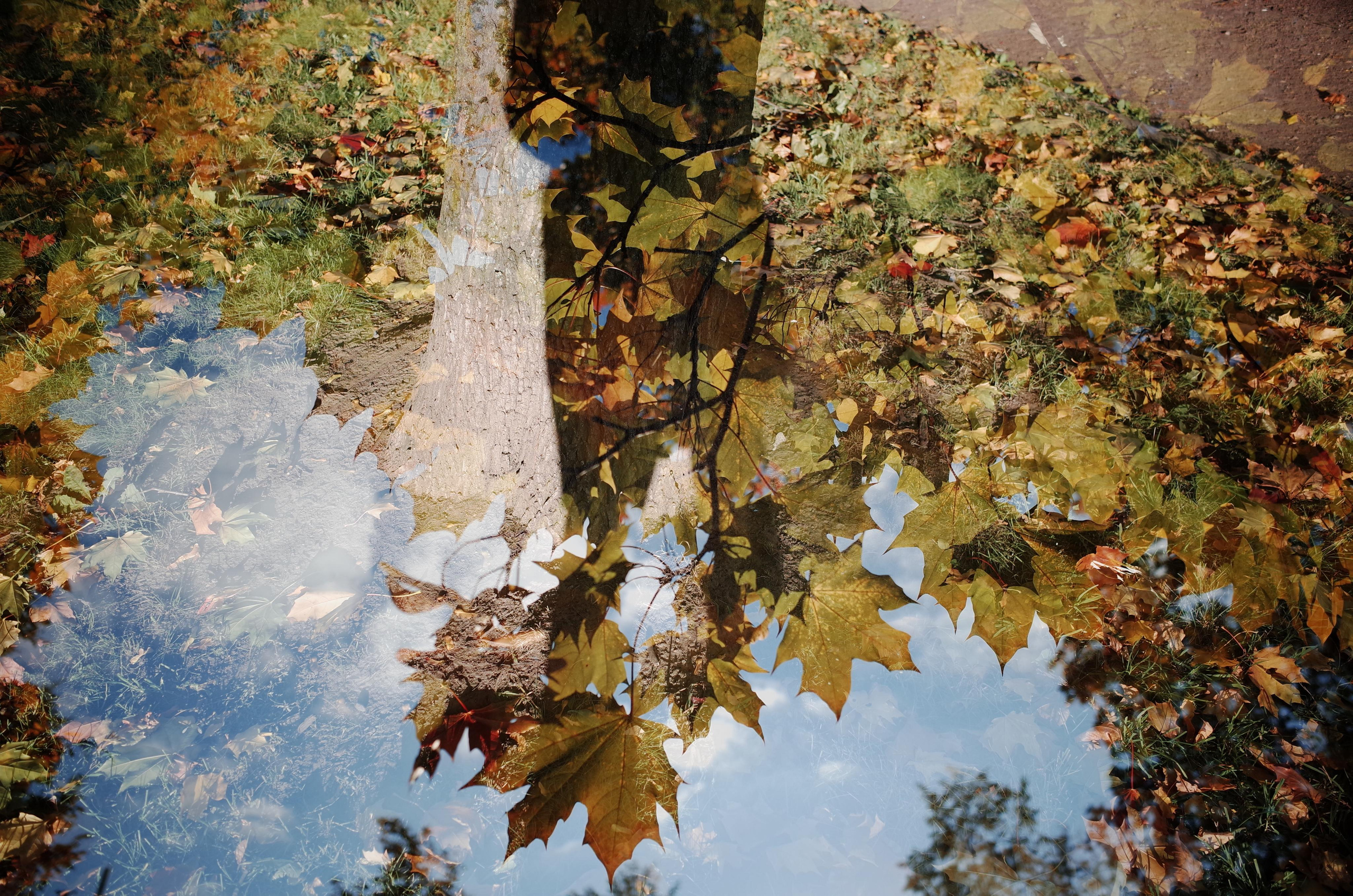 Portfolio. Victoria Dini. Art photography in London / Folkestone, UK