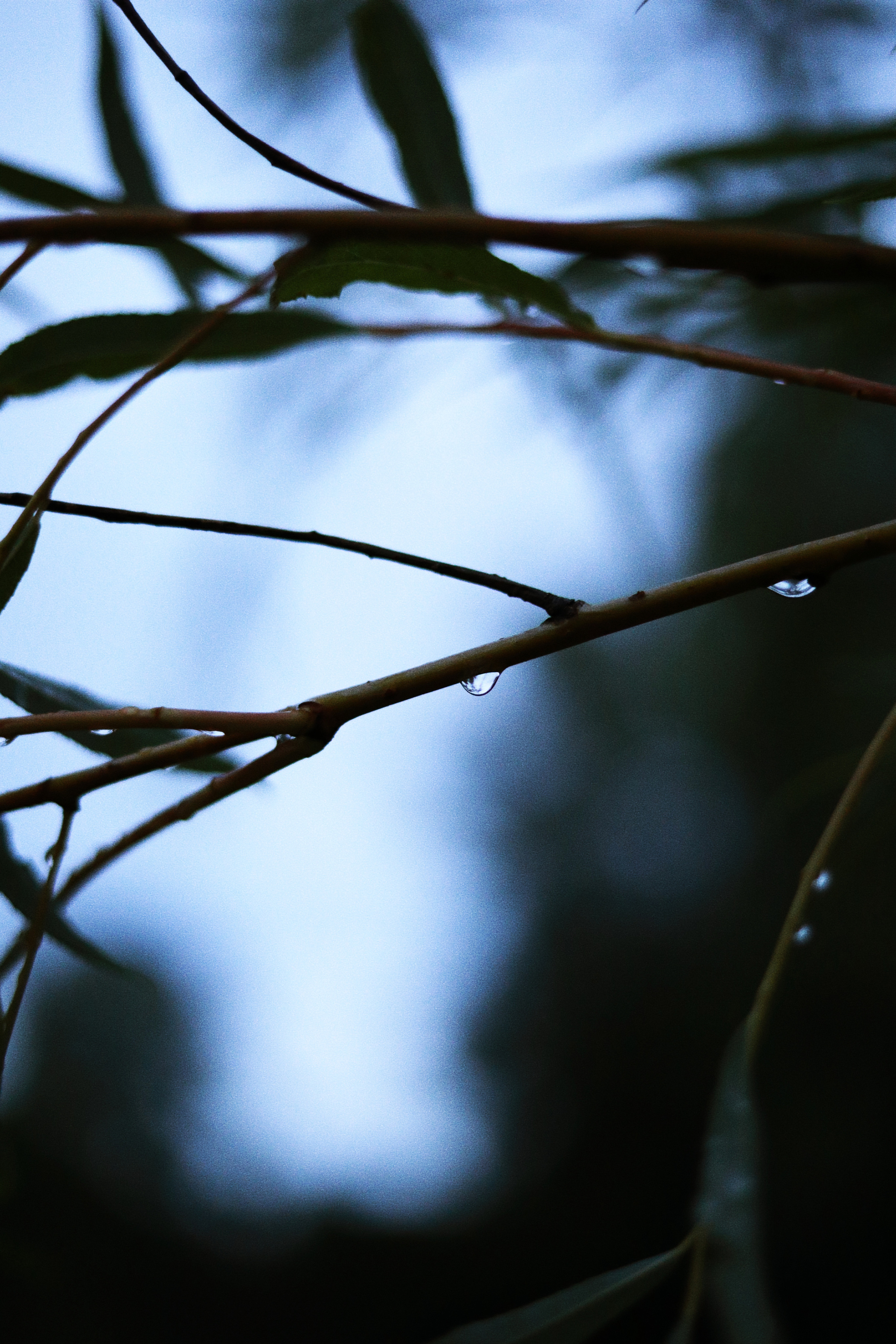 Portfolio. Victoria Dini. Art photography in London / Folkestone, UK