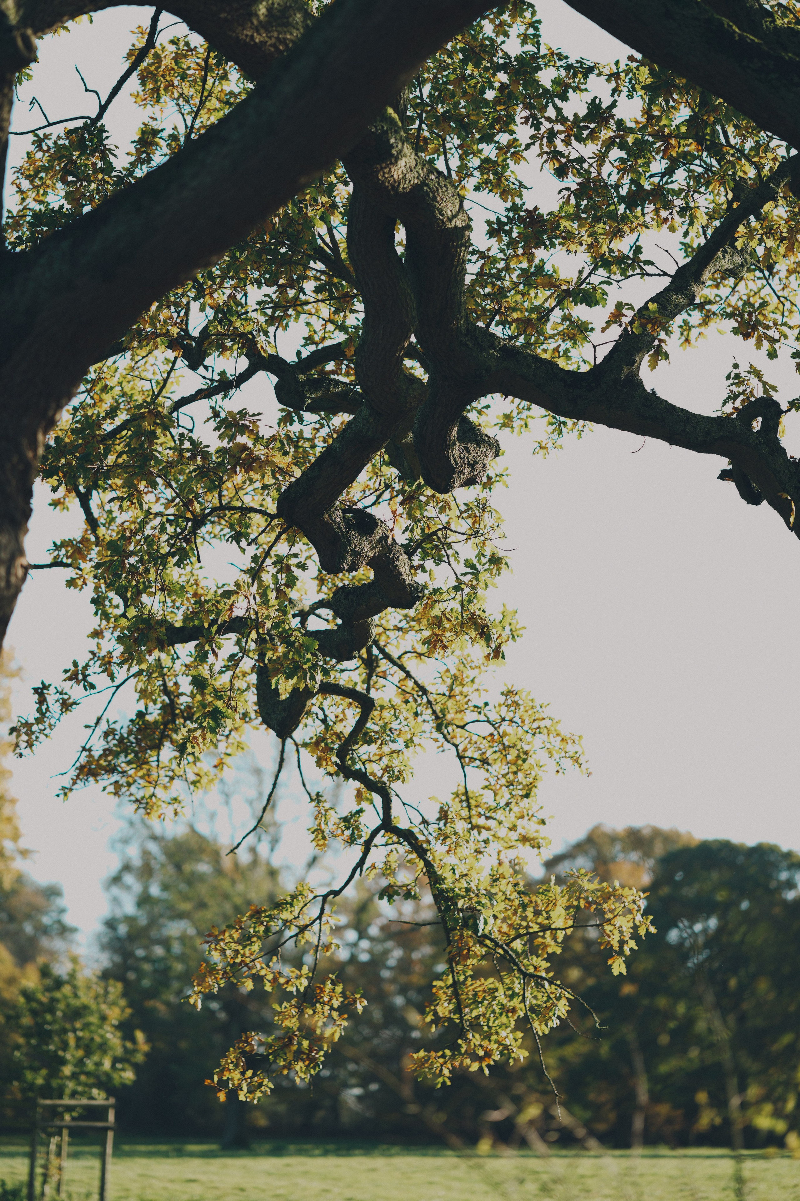 Brand photography in National trust. Creative Family, Brand, Boudoir and Wedding Photographer in Solihull & Birmingham Irina Zoteeva