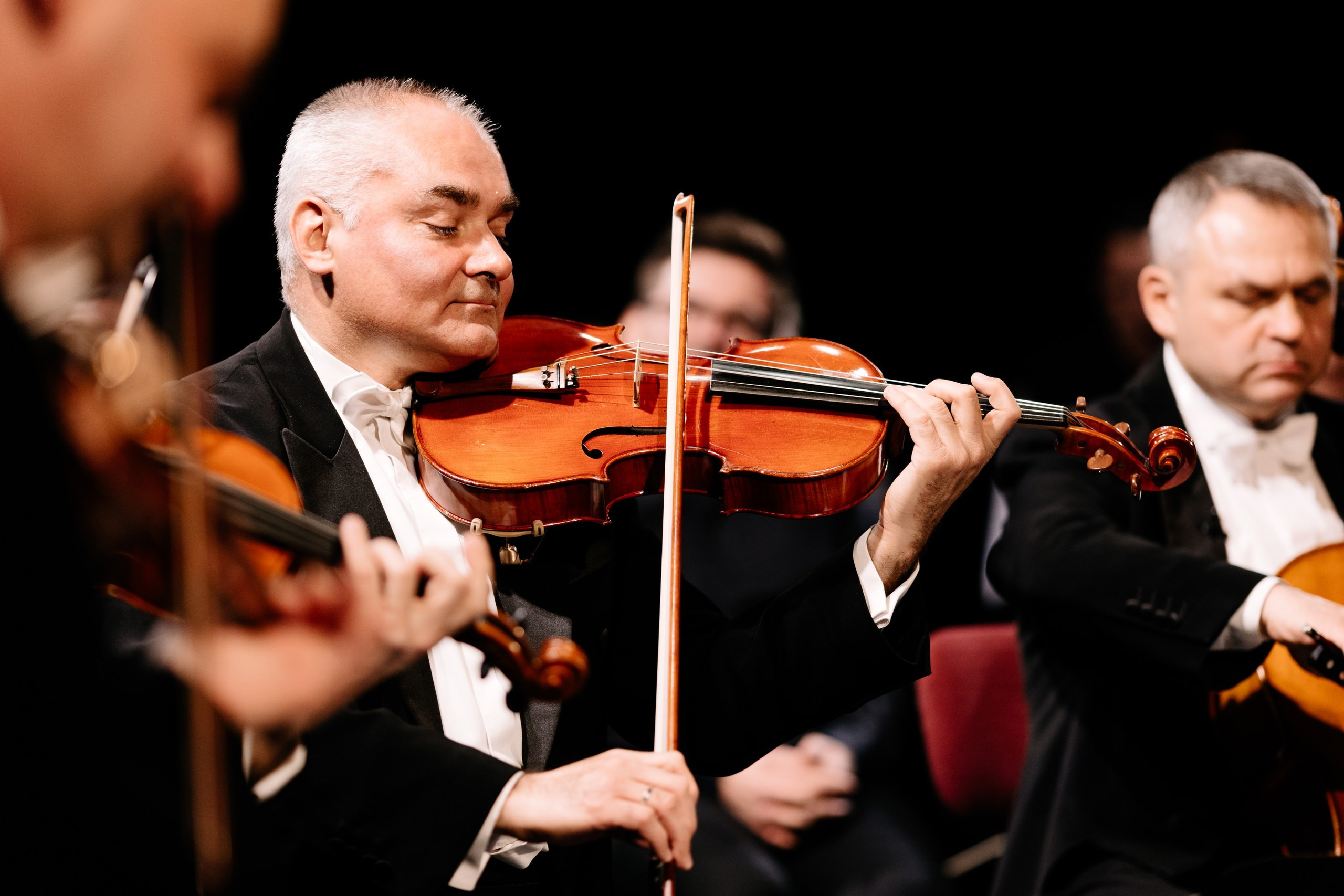 Mocarta Trio. Fotograf Ślubny Warszawa - Sesje Biznesowe Rodzinne Eventy