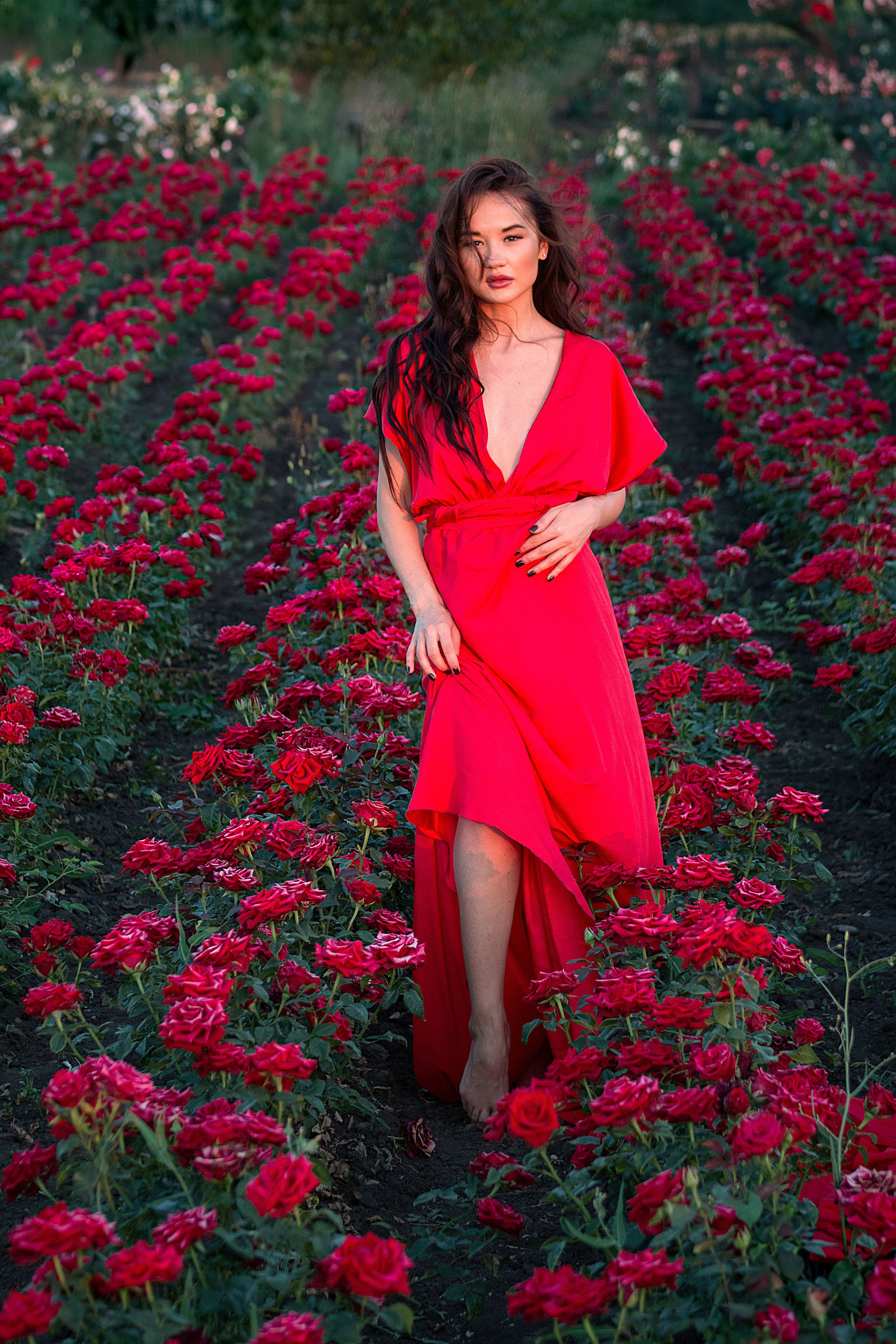 Розы. Детский и семейный фотограф в г. Бельцы