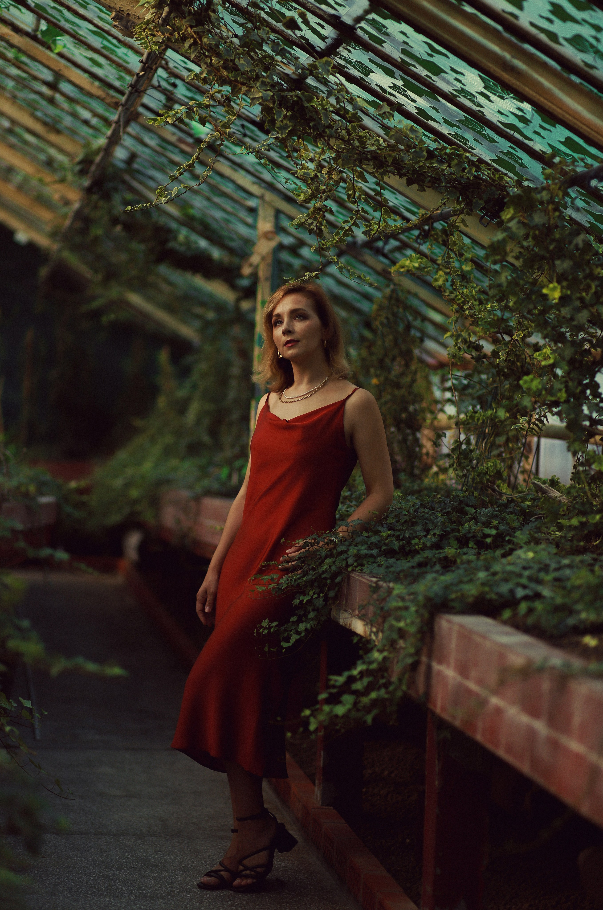 Фотограф и видеограф во Вроцлаве