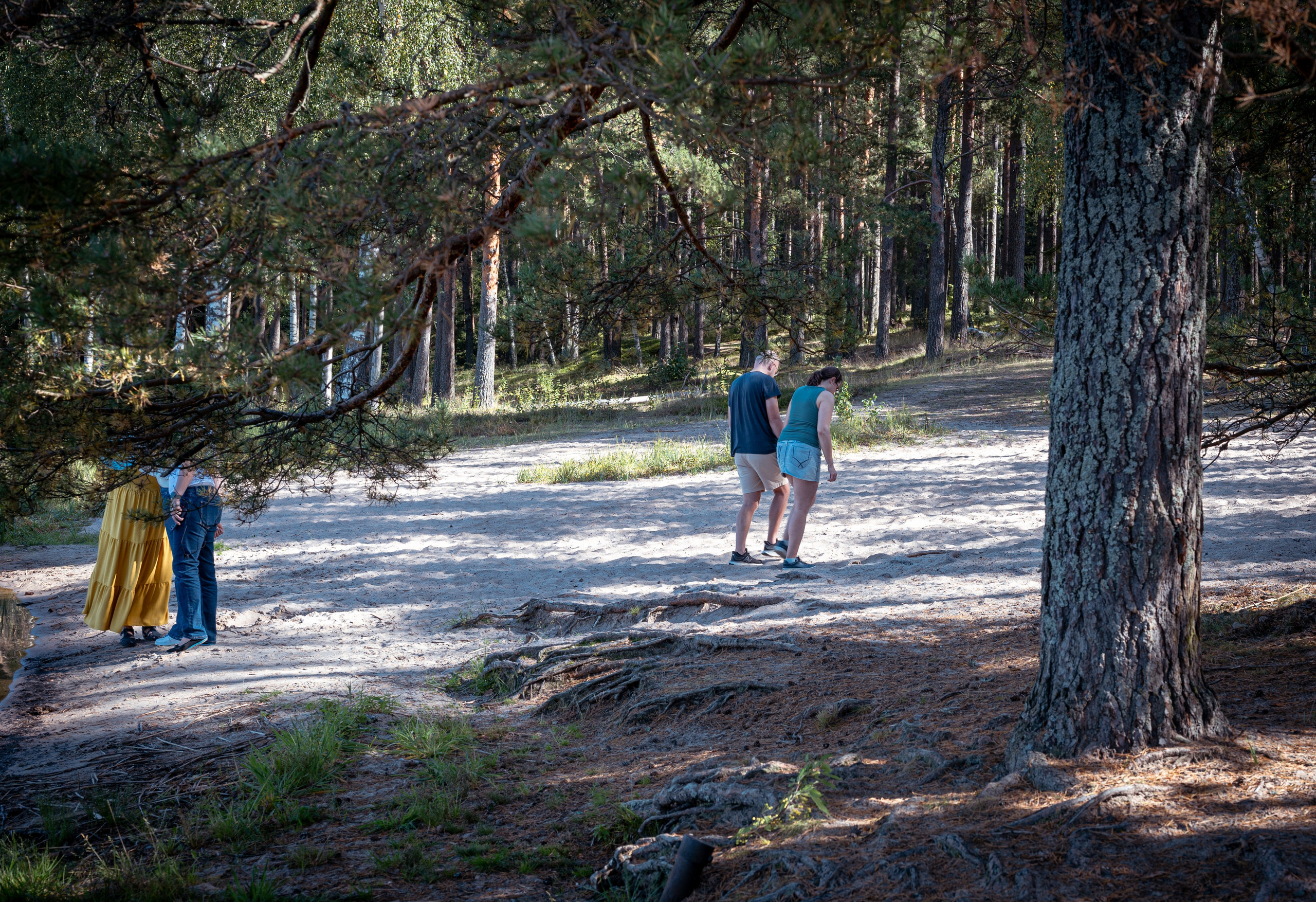 Мероприятия. Фотограф Сергей Трифонов