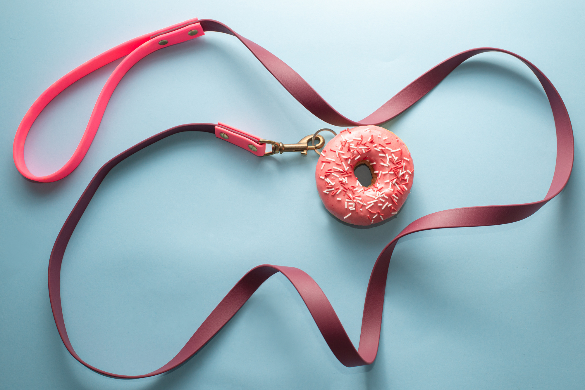 Коммерческая и рекламная съёмка с участием животных. Фотограф в Белграде Таня Асфирь