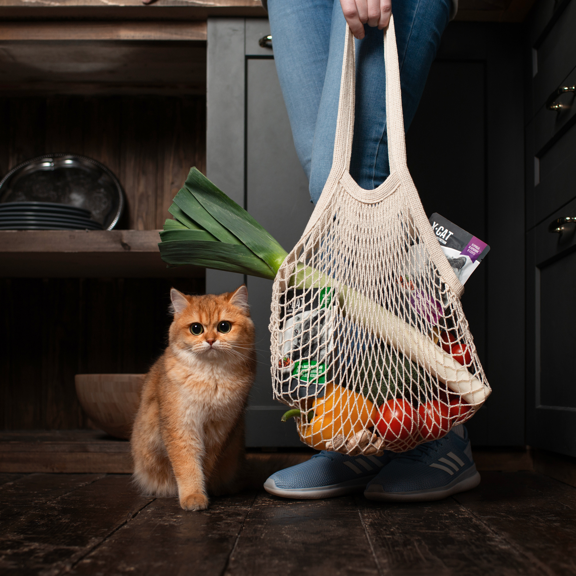 Коммерческая и рекламная съёмка с участием животных. Фотограф в Белграде Таня Асфирь