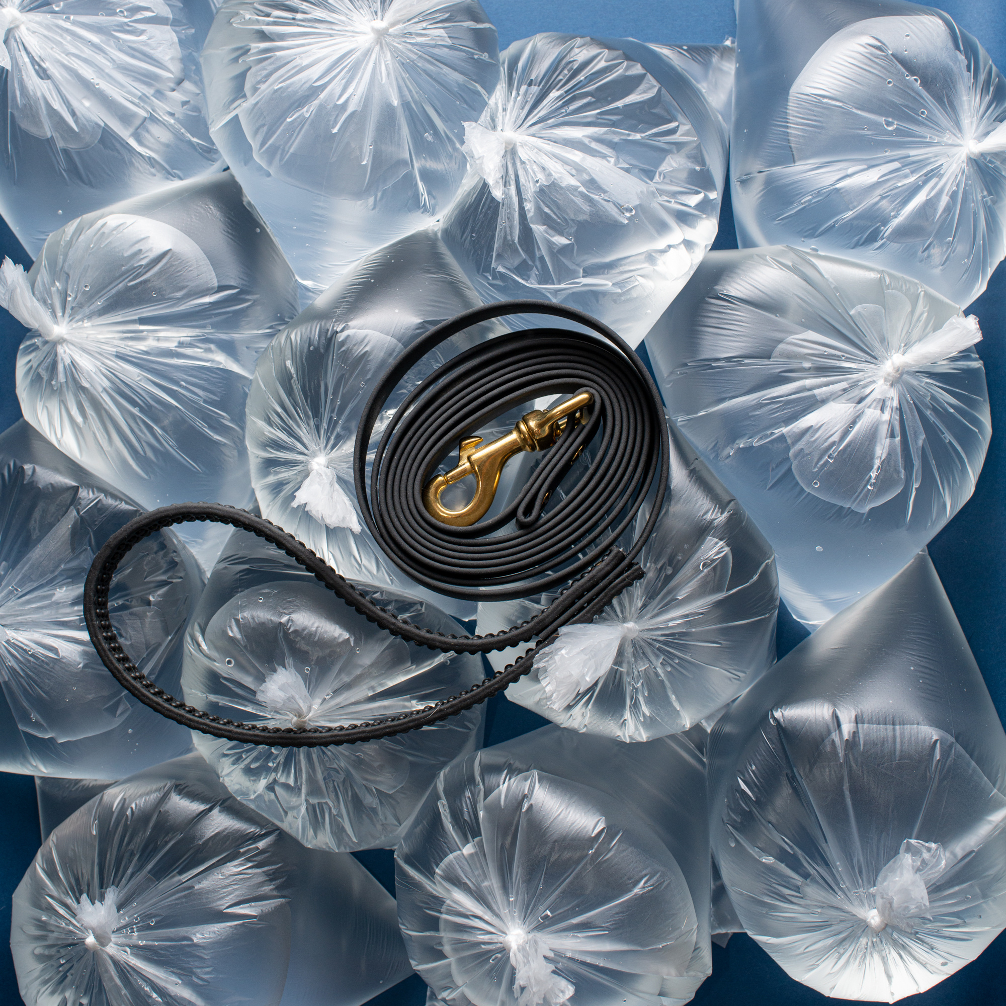 Коммерческая и рекламная съёмка с участием животных. Фотограф в Белграде Таня Асфирь