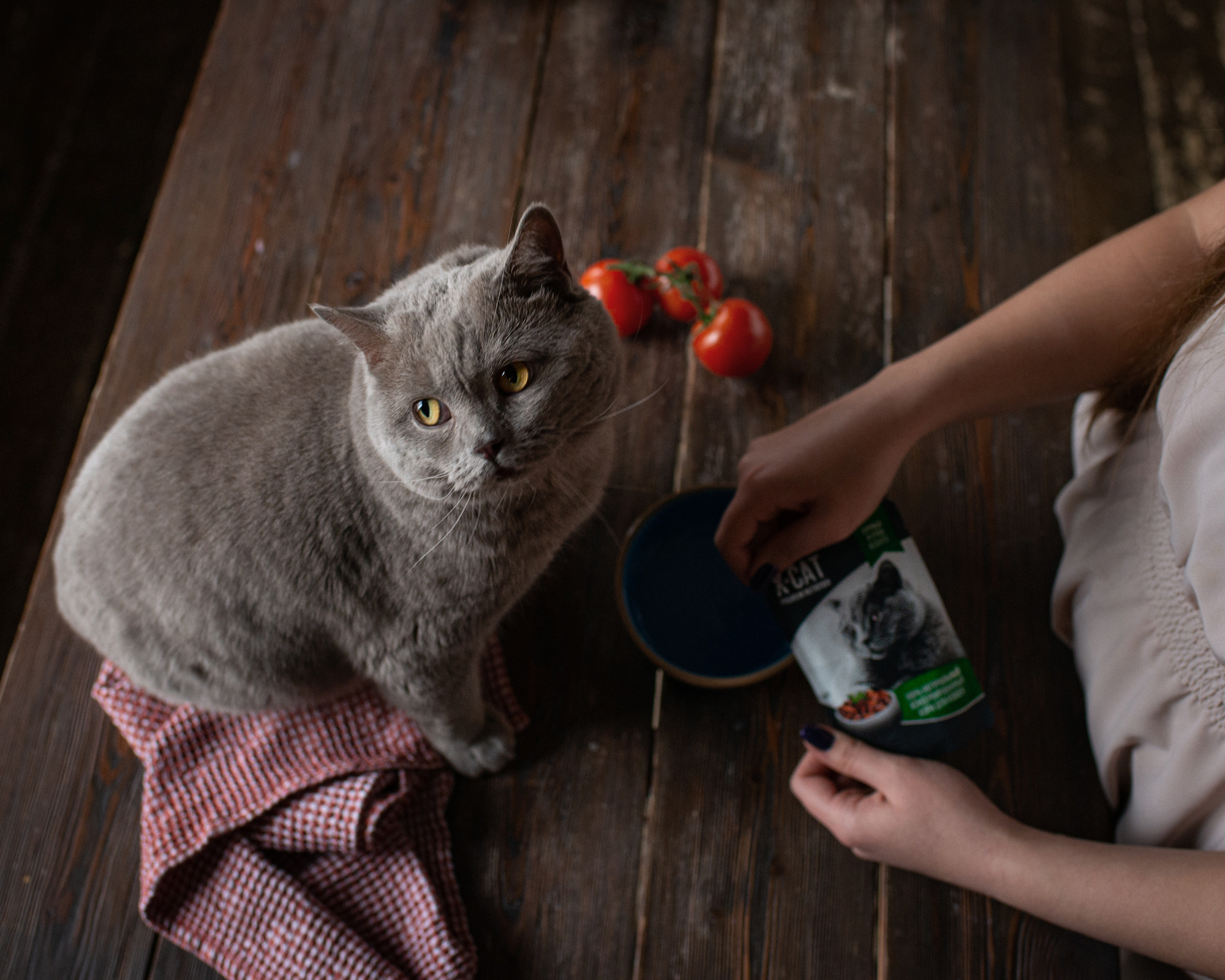 Коммерческая и рекламная съёмка с участием животных. Фотограф в Белграде Таня Асфирь