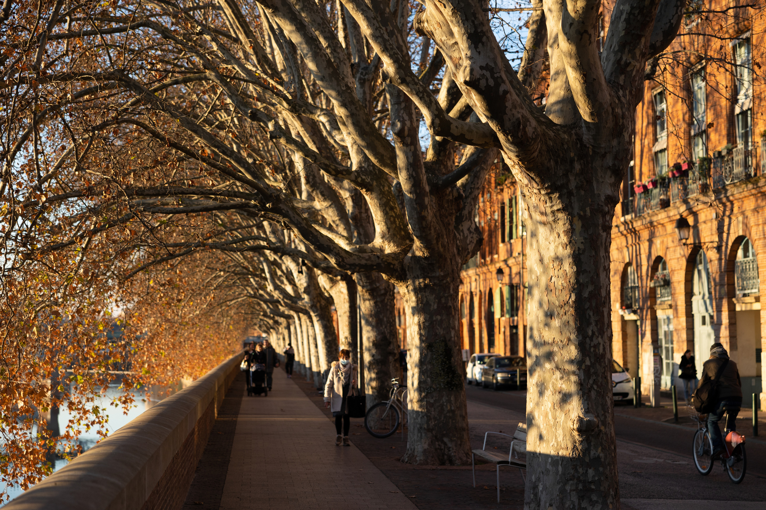 Набережная в Тулузе