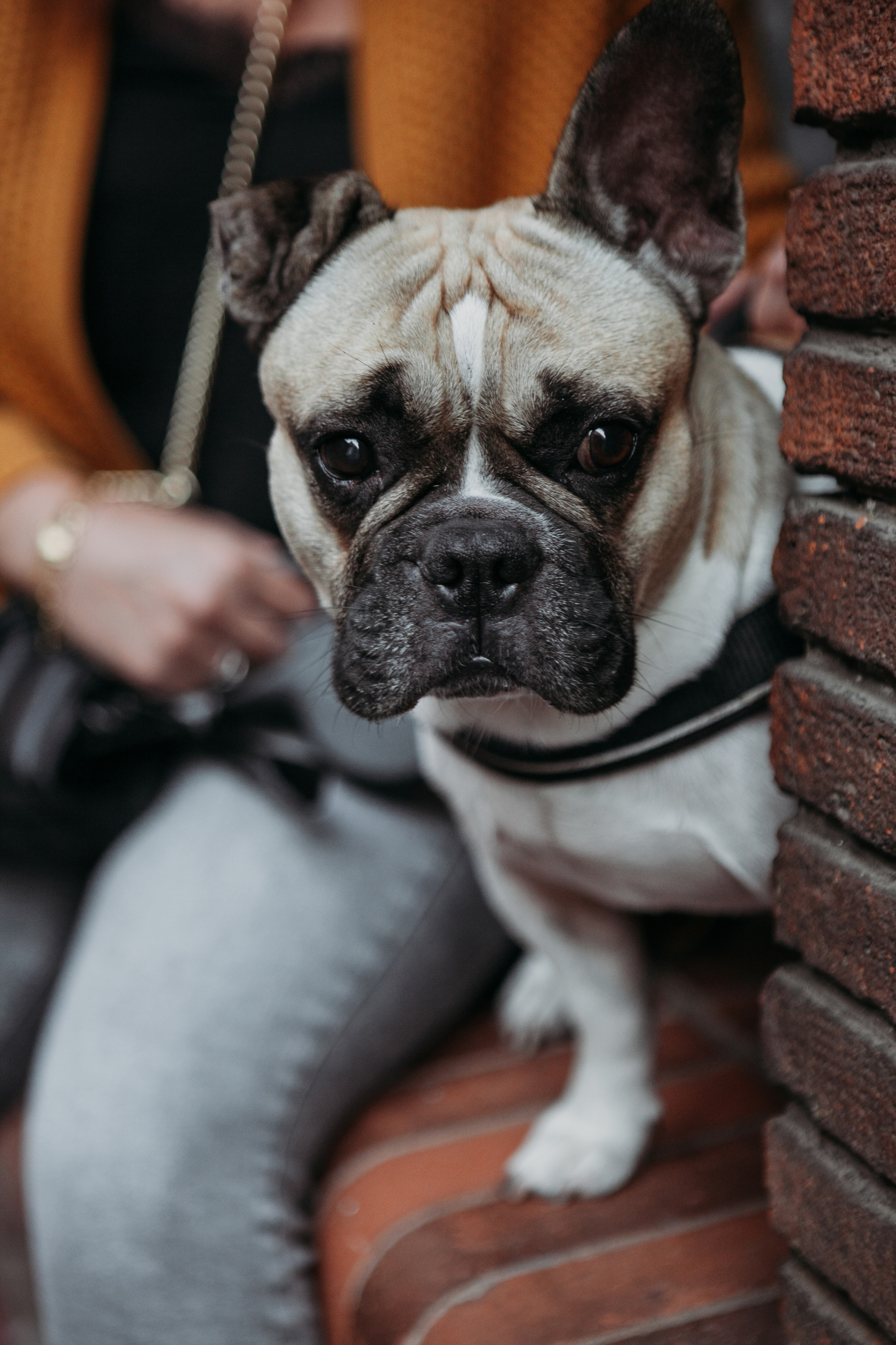 Фото прогулка по Тулузе с Евгенией Смирновой. Евгения Смирнова — фотограф в Тулузе и юго-западной Франции