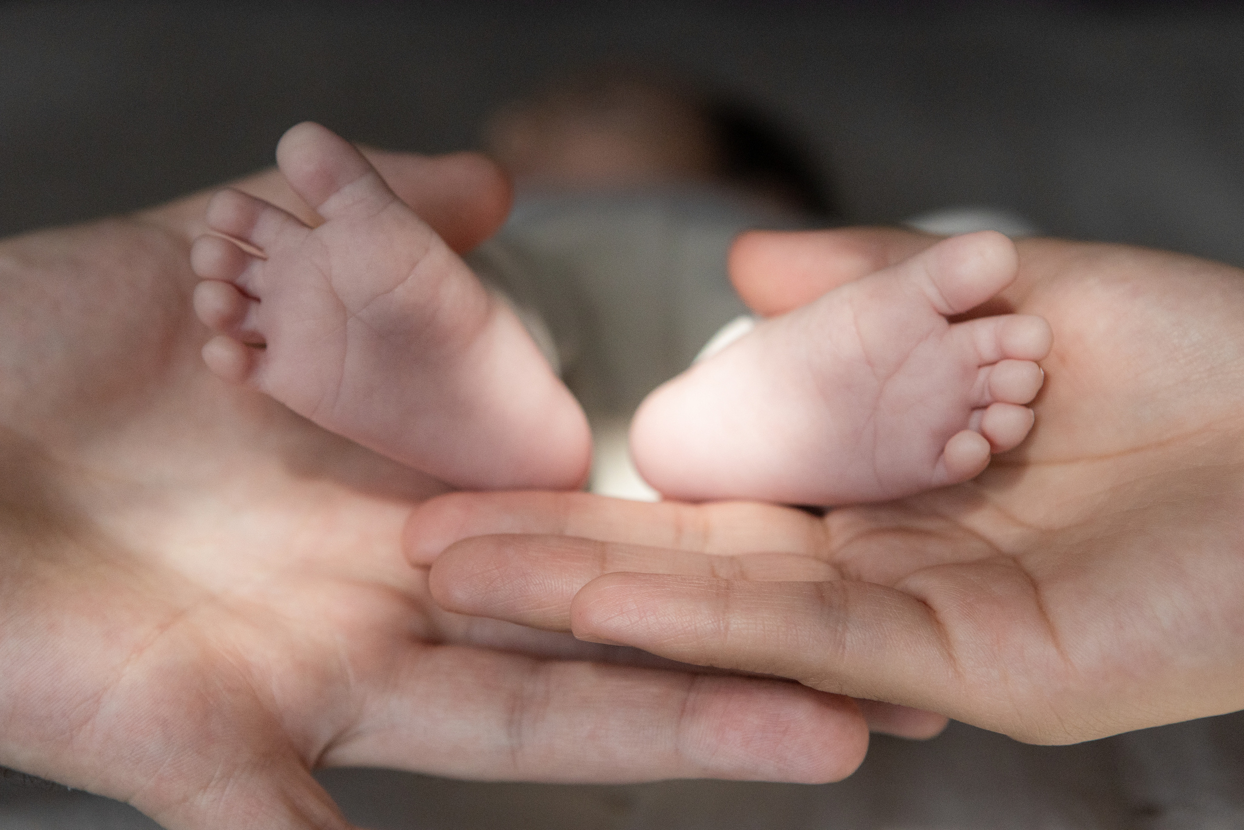 Maternity and newborn photo sessions. Eugenie Smirnova — wedding, corporate and lifestyle photographer in Toulouse and Southwest France