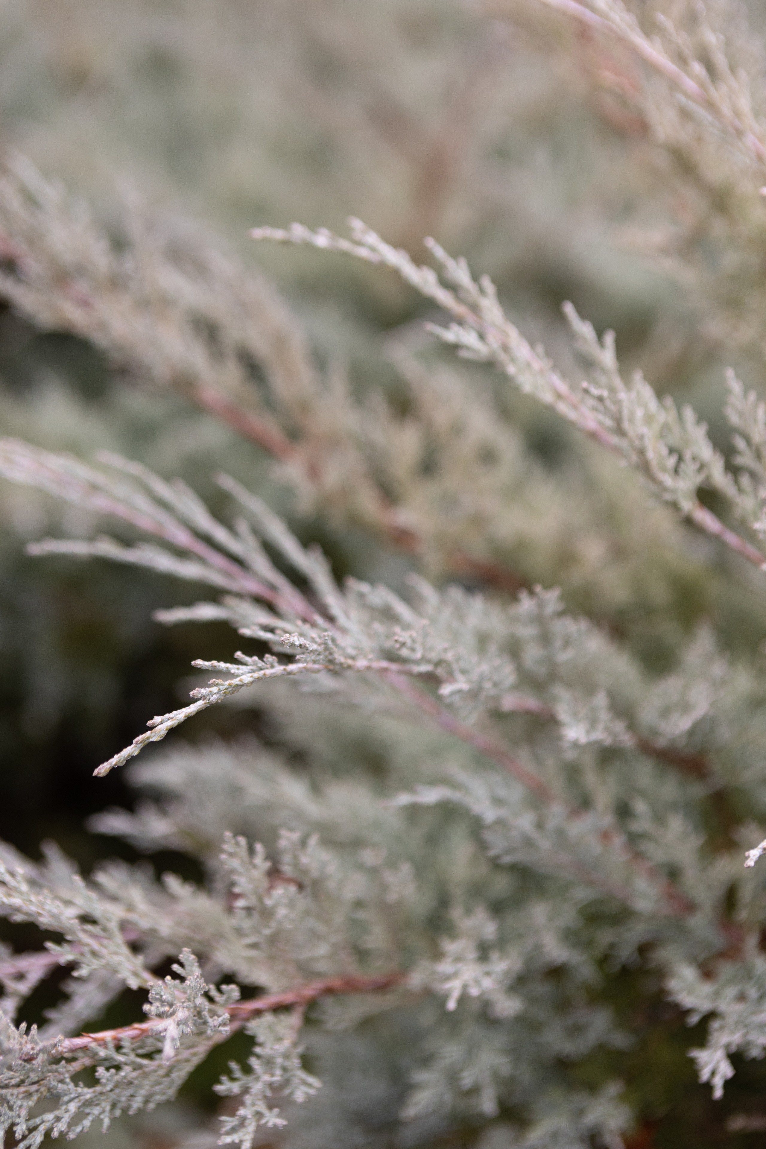 Winter wedding in Toulouse. Anastasia & Ben. Eugénie Smirnova — Photographe à Toulouse et dans le Sud-Ouest