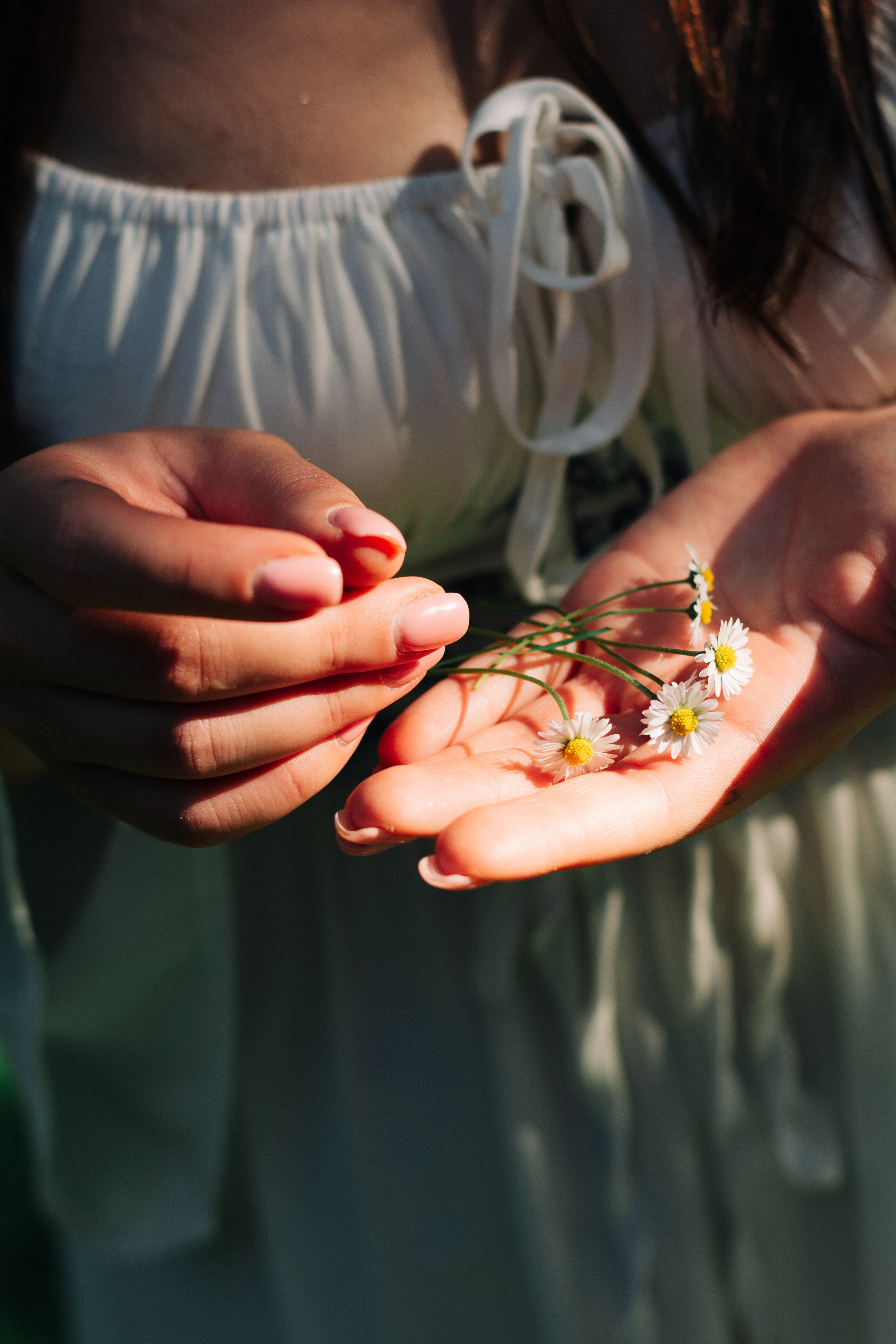 Dominika. Shpanarskiy Nazar