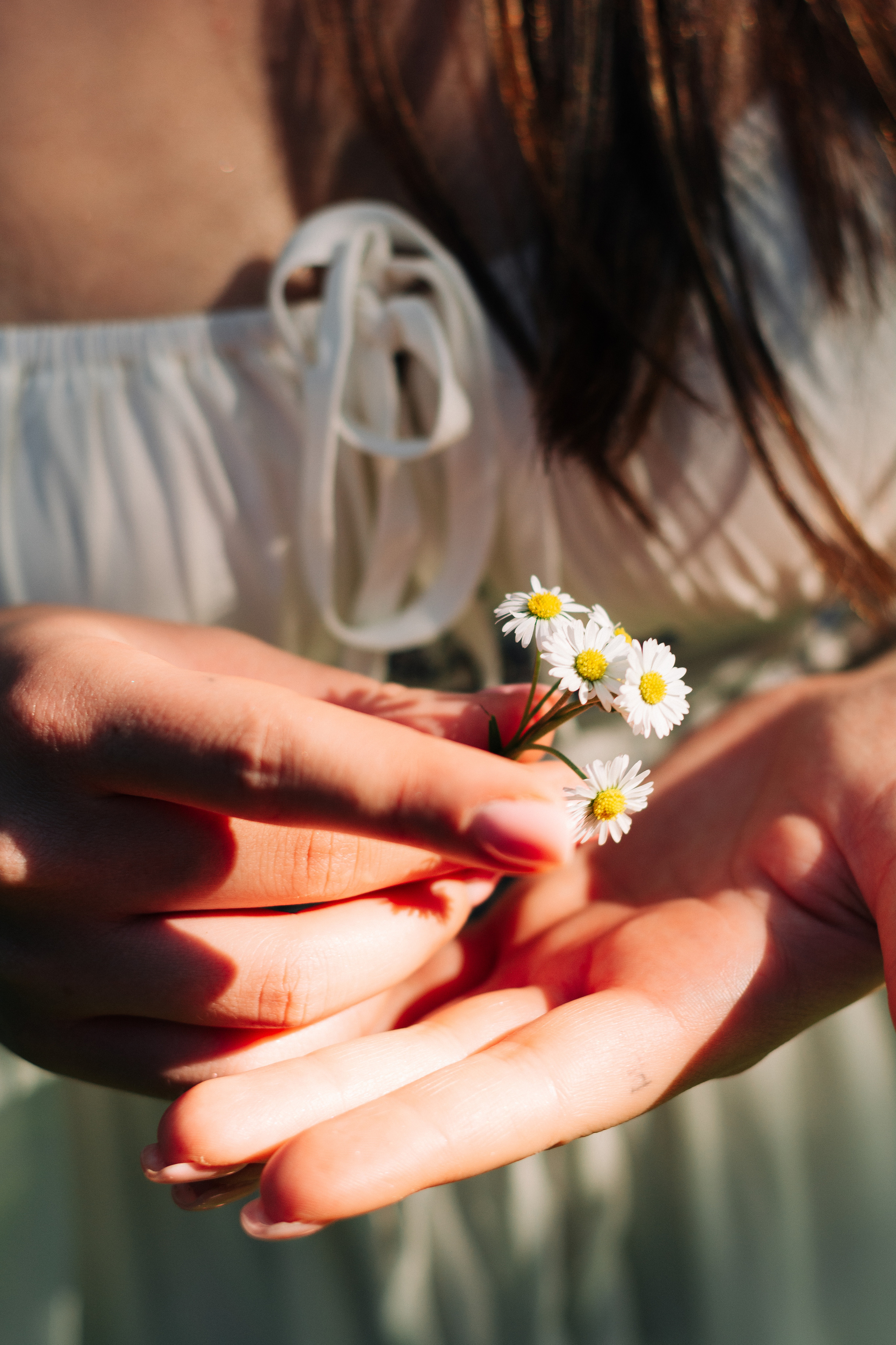 Dominika. Shpanarskiy Nazar