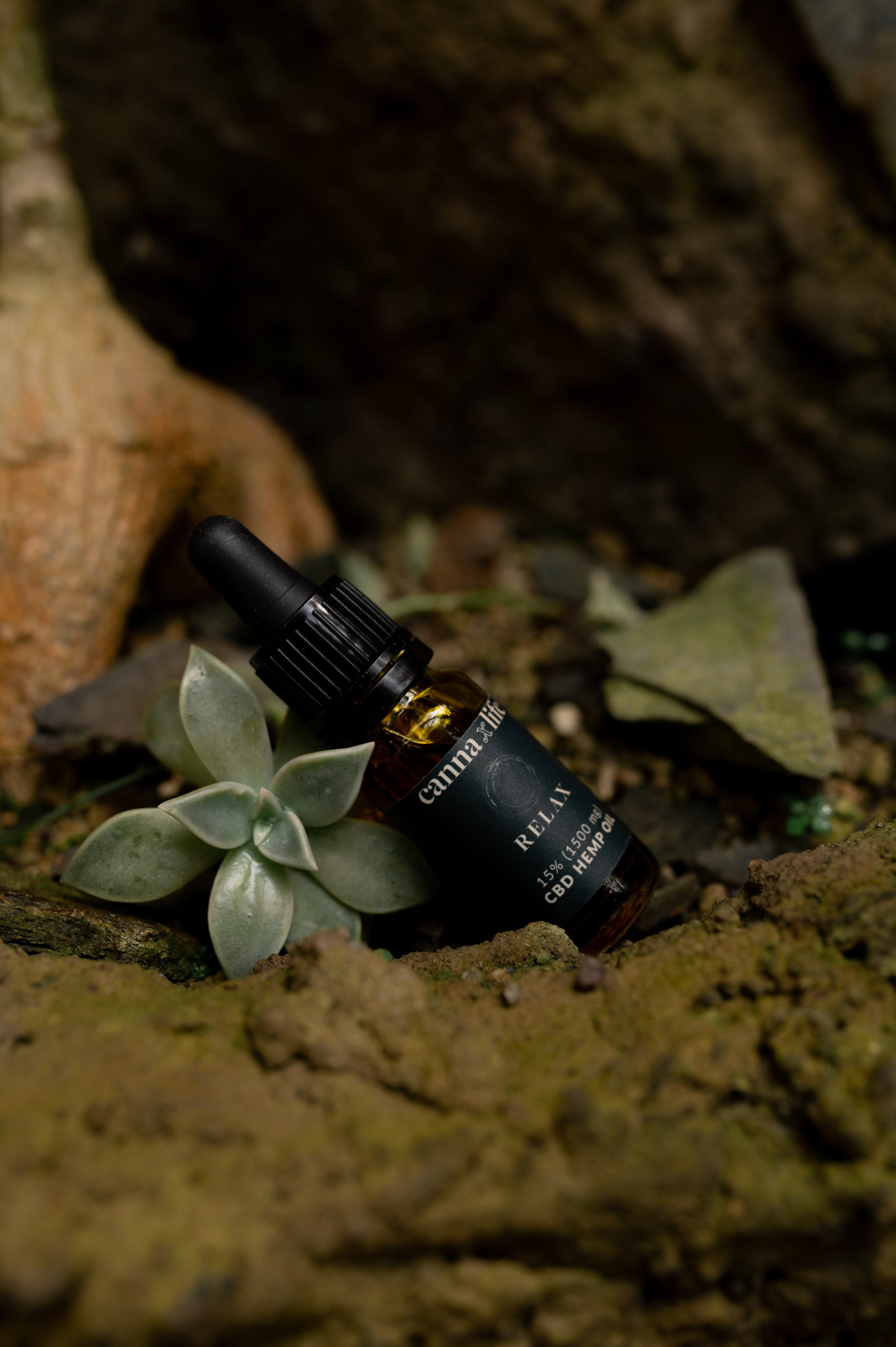 CannaXlife CBD products. ANNA-MARIA PHOTO CONTENT CREATOR — фотограф, естет, художник і візуальний експерт Instagram у Празі