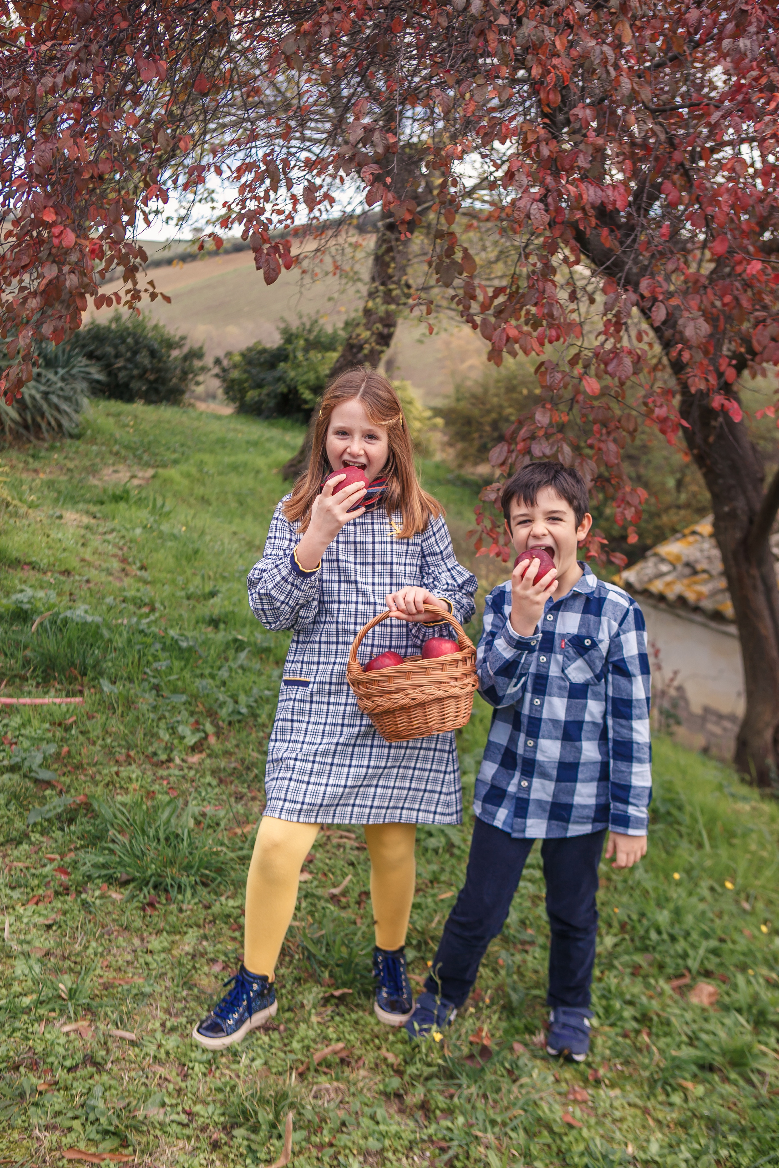 Autumn in Macerata. Professional photographer based in Rome