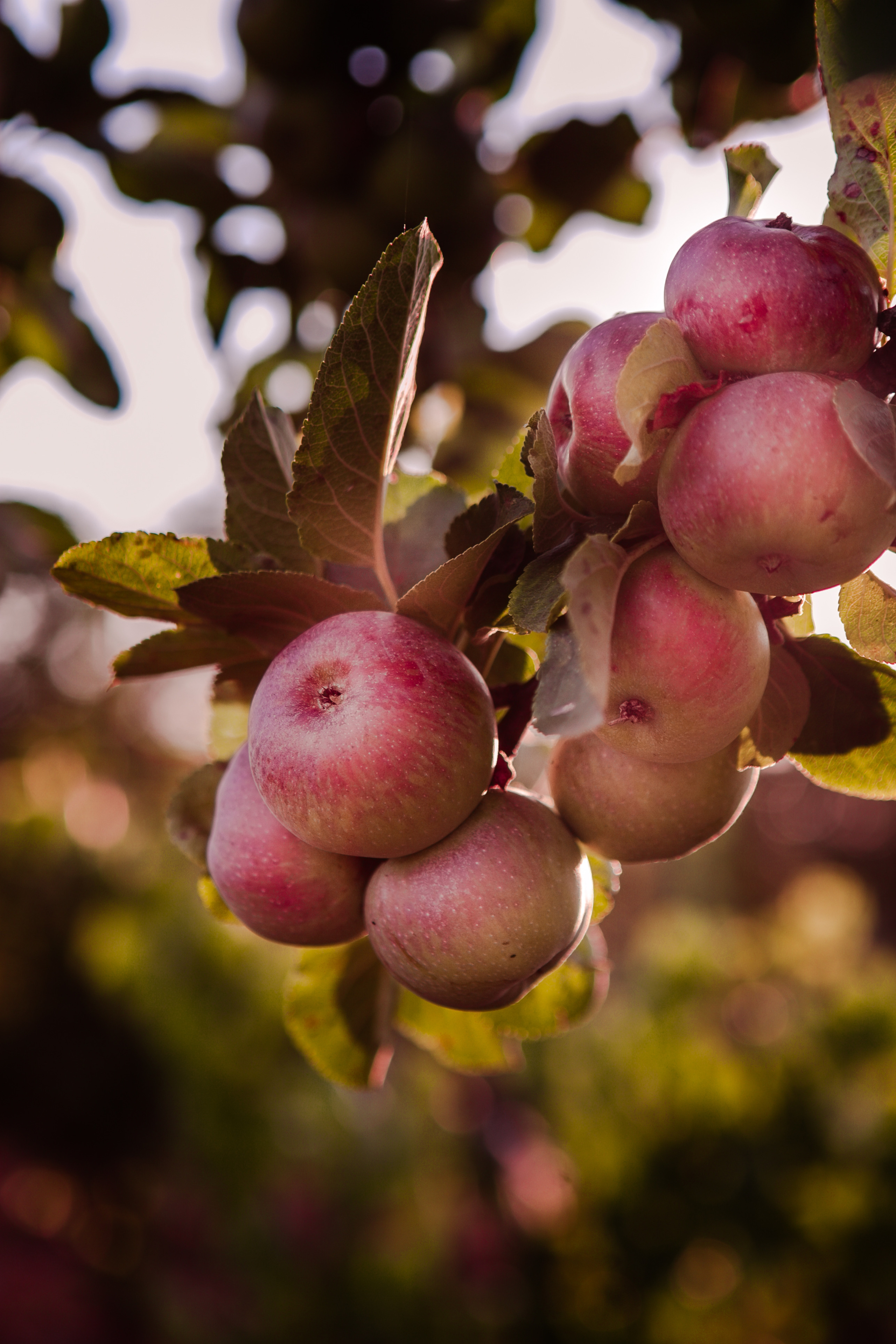 Buhty. Professional photographer based in Rome