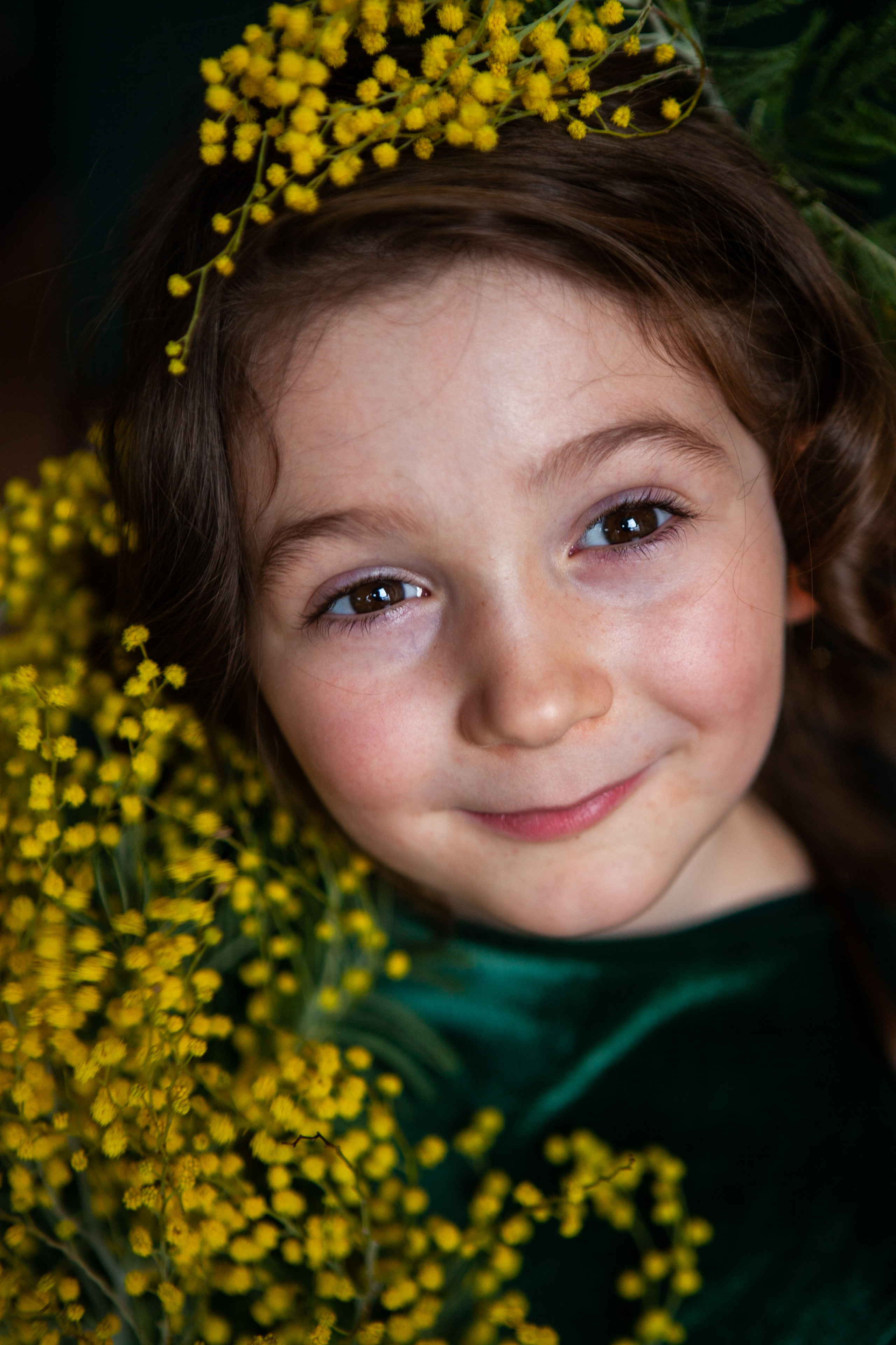 Mimosa. Professional photographer based in Rome