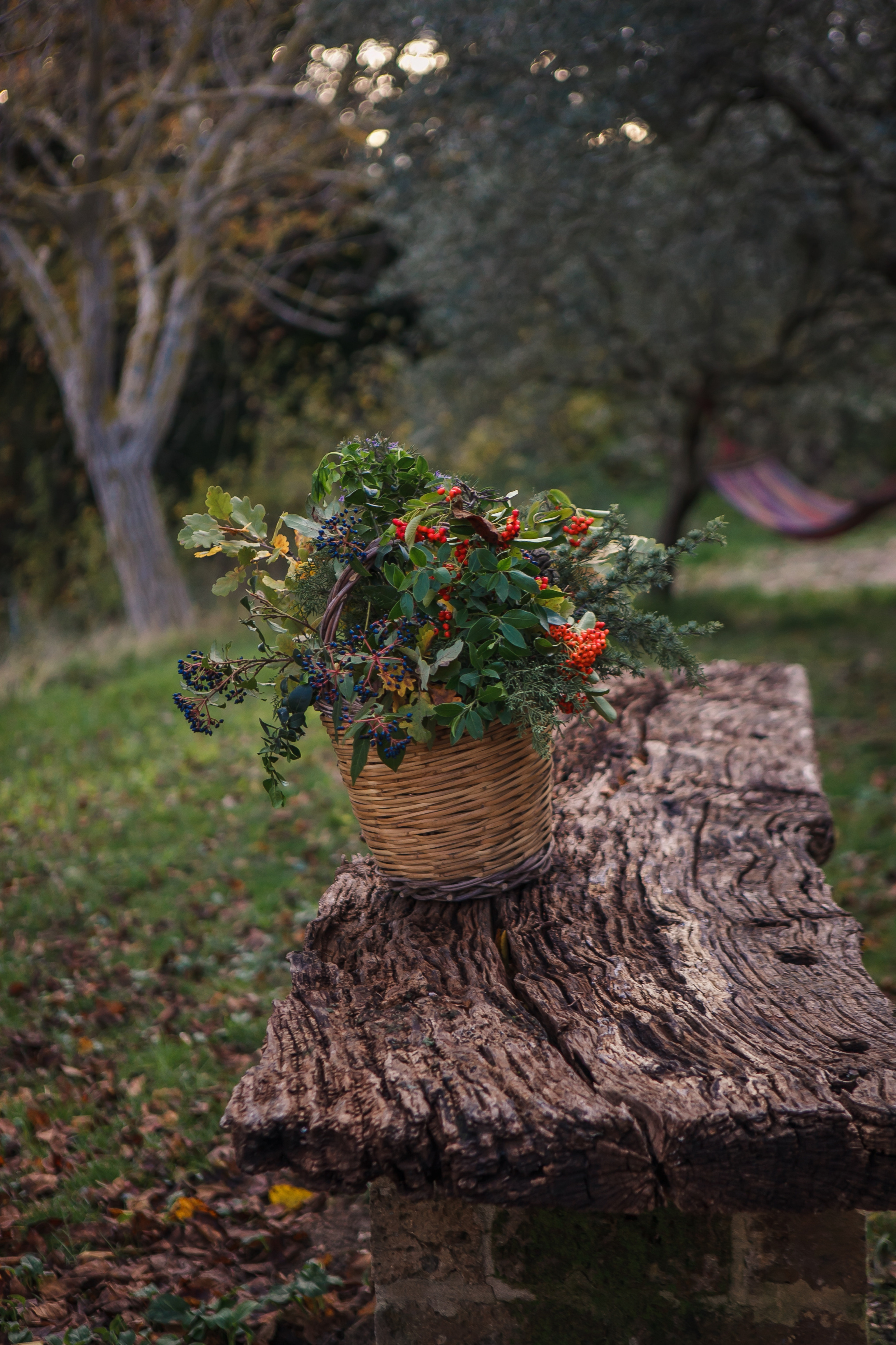 Autumn in Macerata. Professional photographer based in Rome