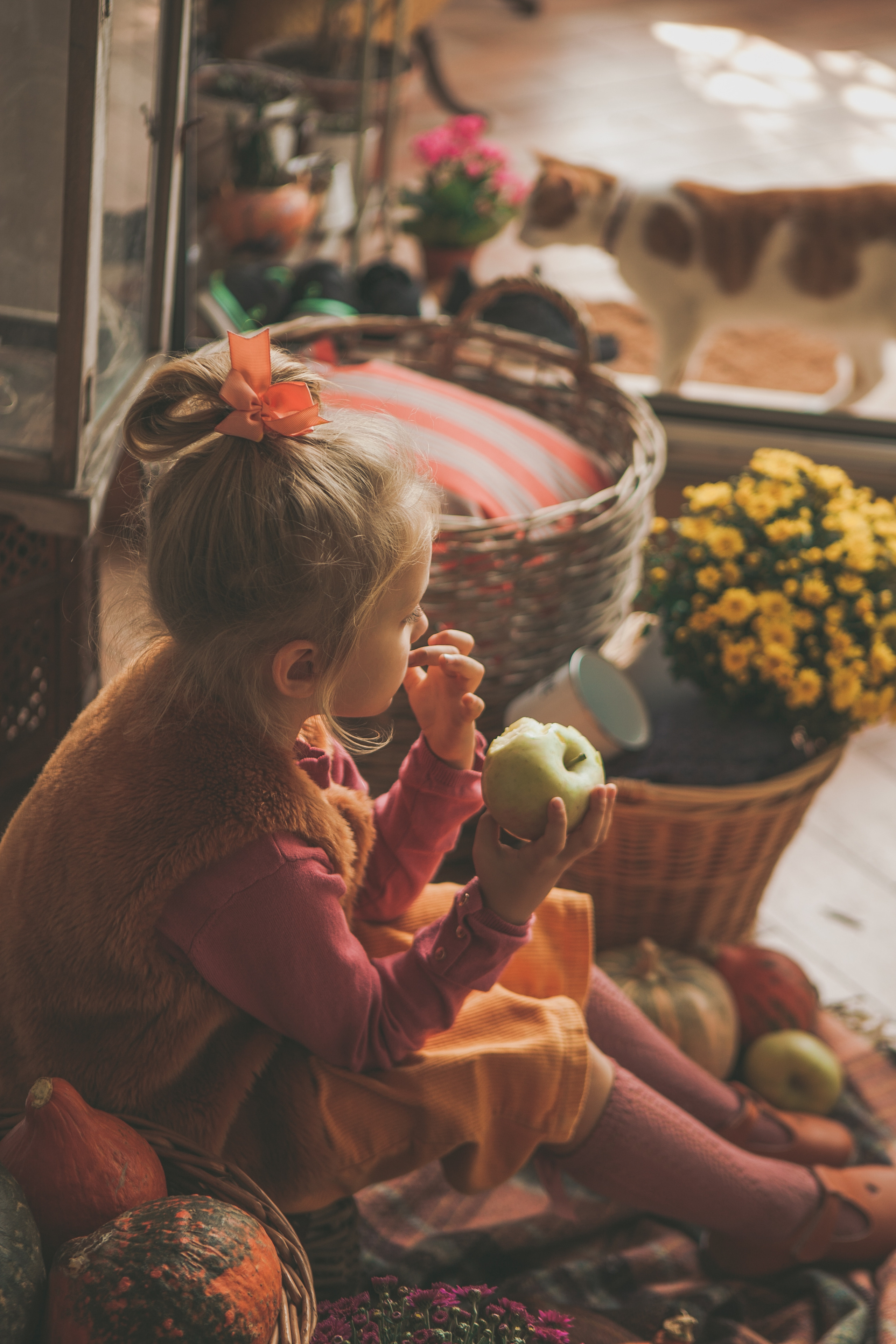 Autumn colors. Professional photographer based in Rome