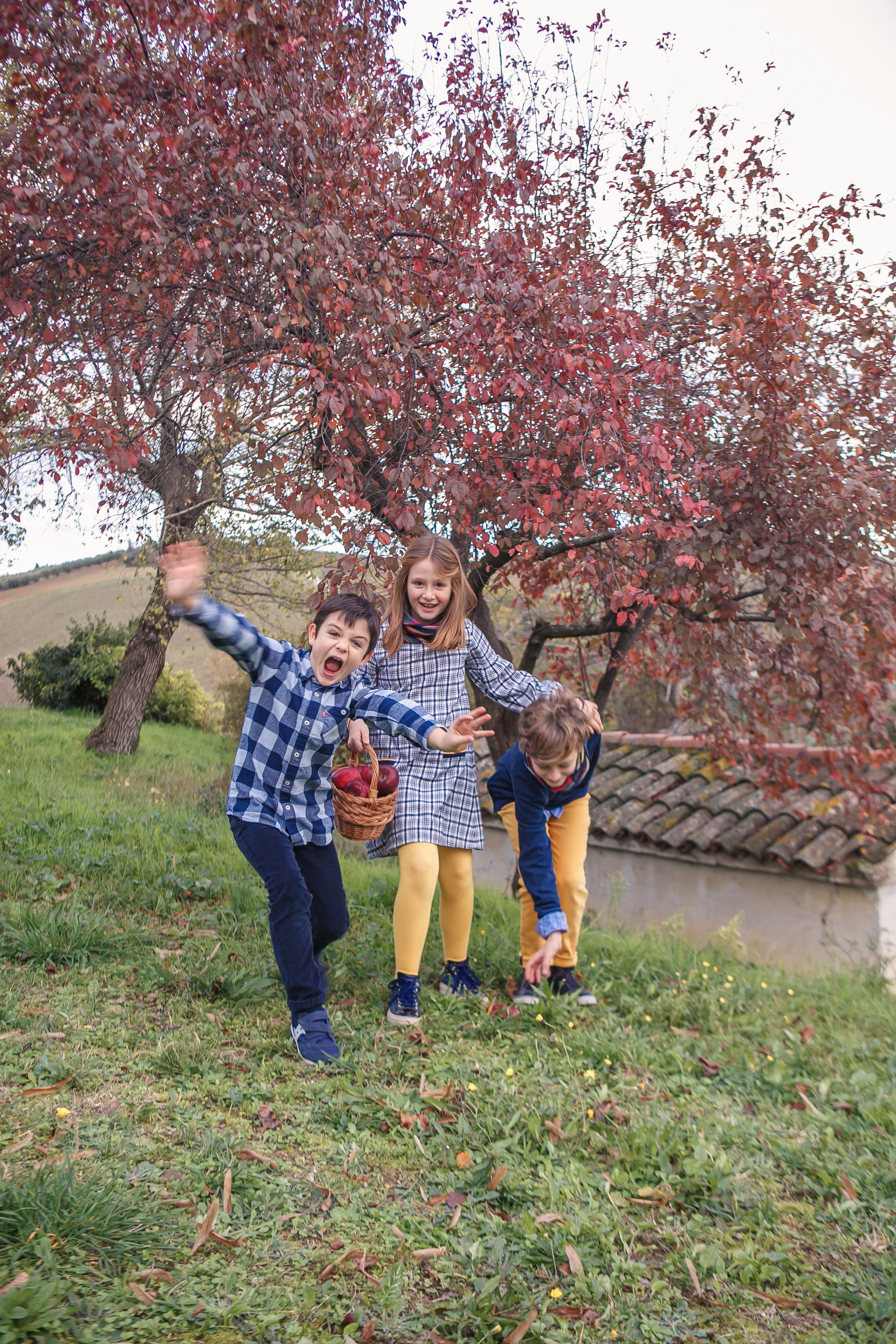 Autumn in Macerata. Professional photographer based in Rome