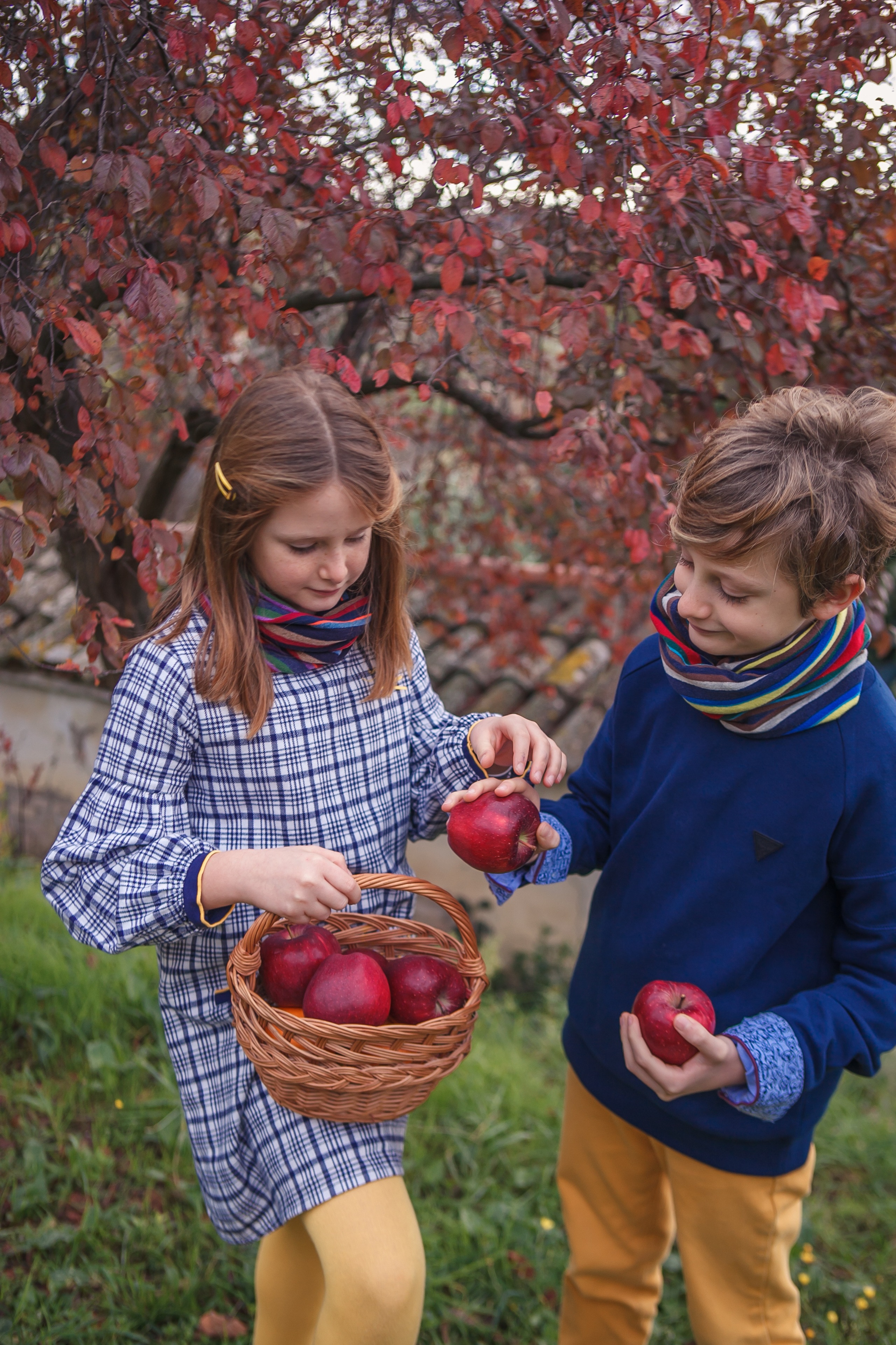 Autumn in Macerata. Professional photographer based in Rome