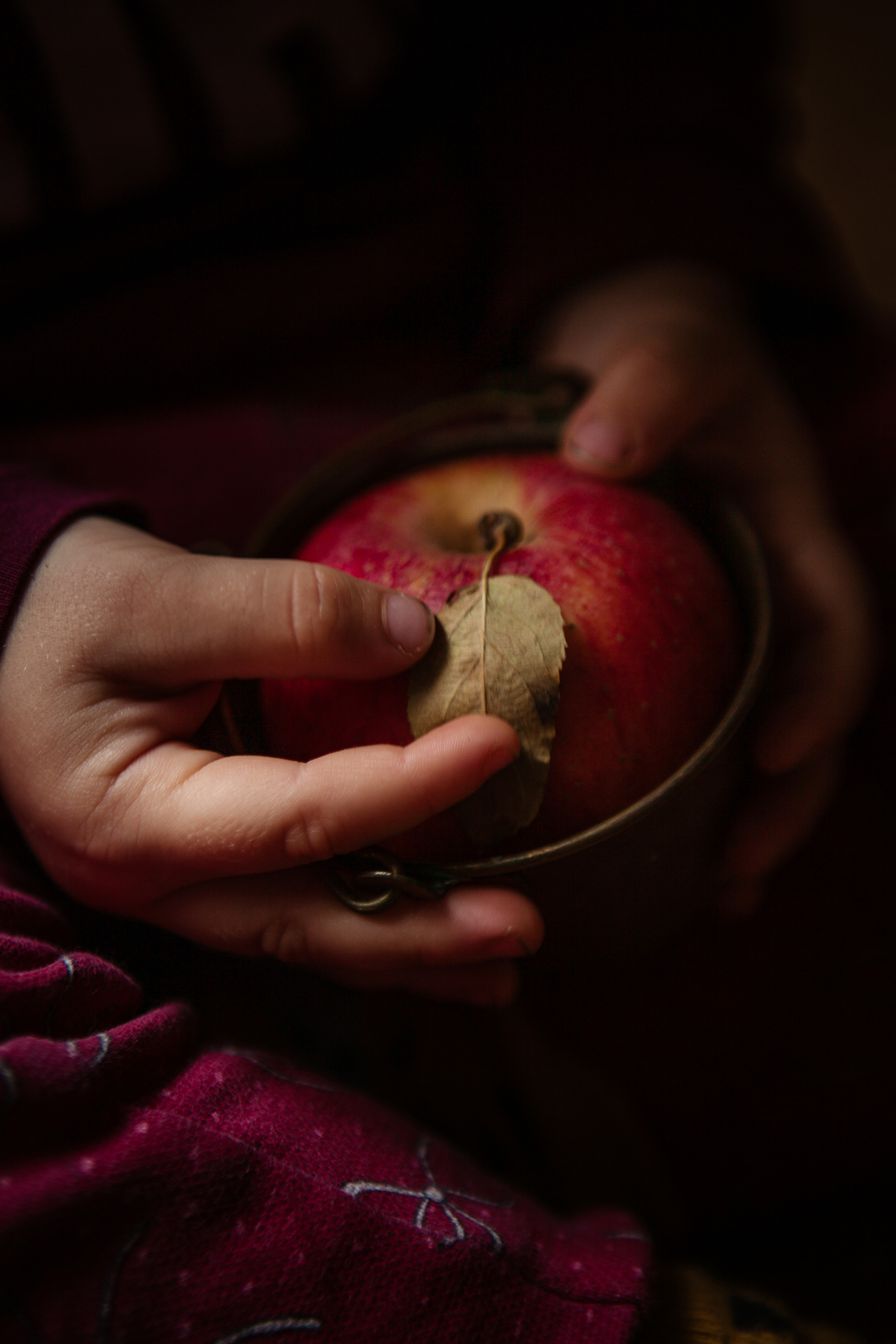 Winter time. Professional photographer based in Rome