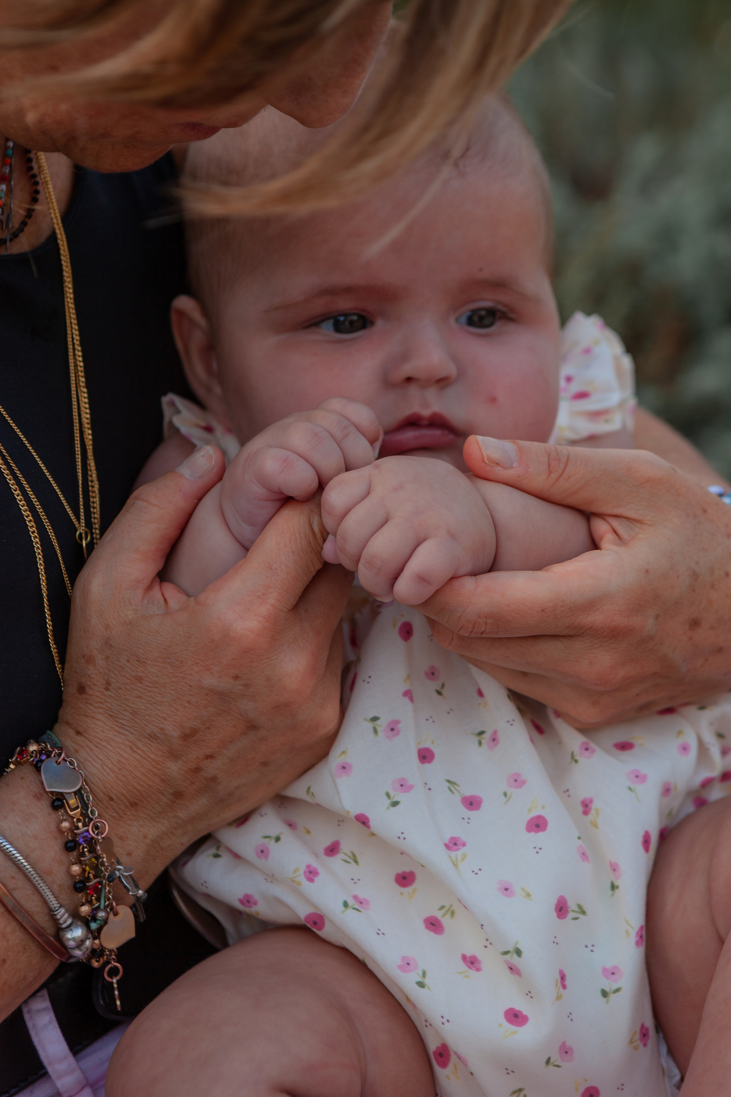 Orto botanico in Rome. Professional photographer based in Rome