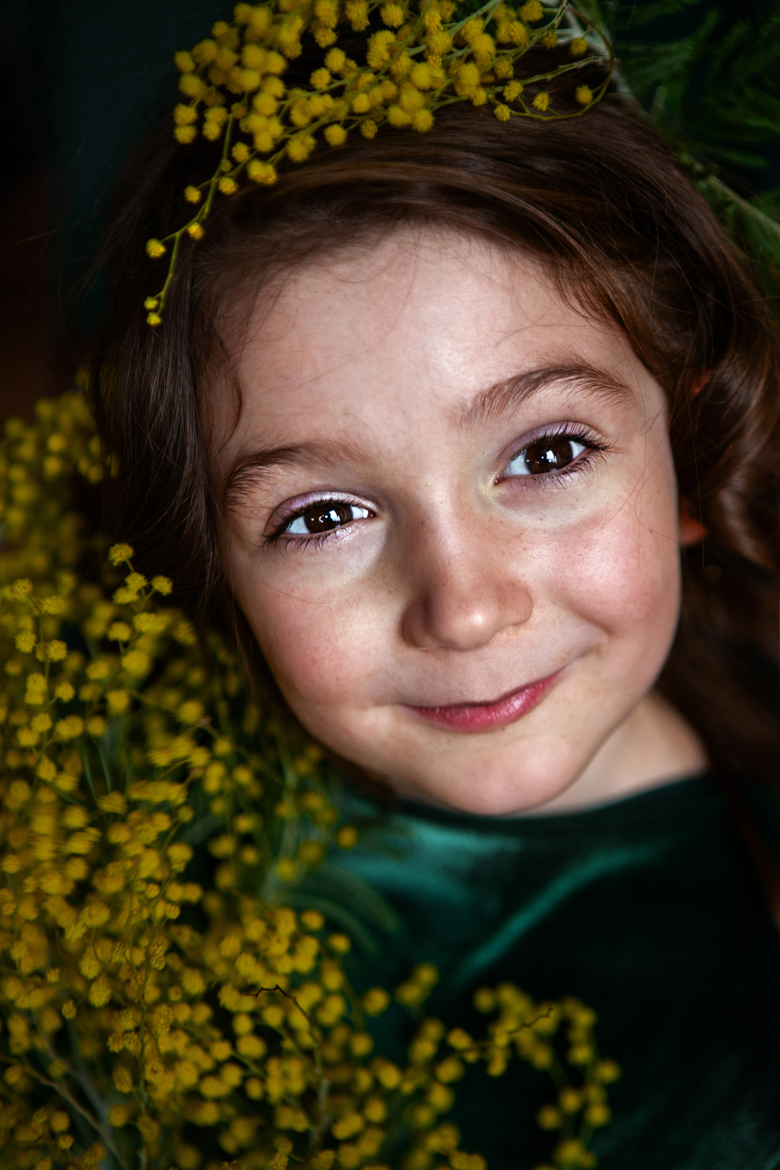 Mimosa. Professional photographer based in Rome