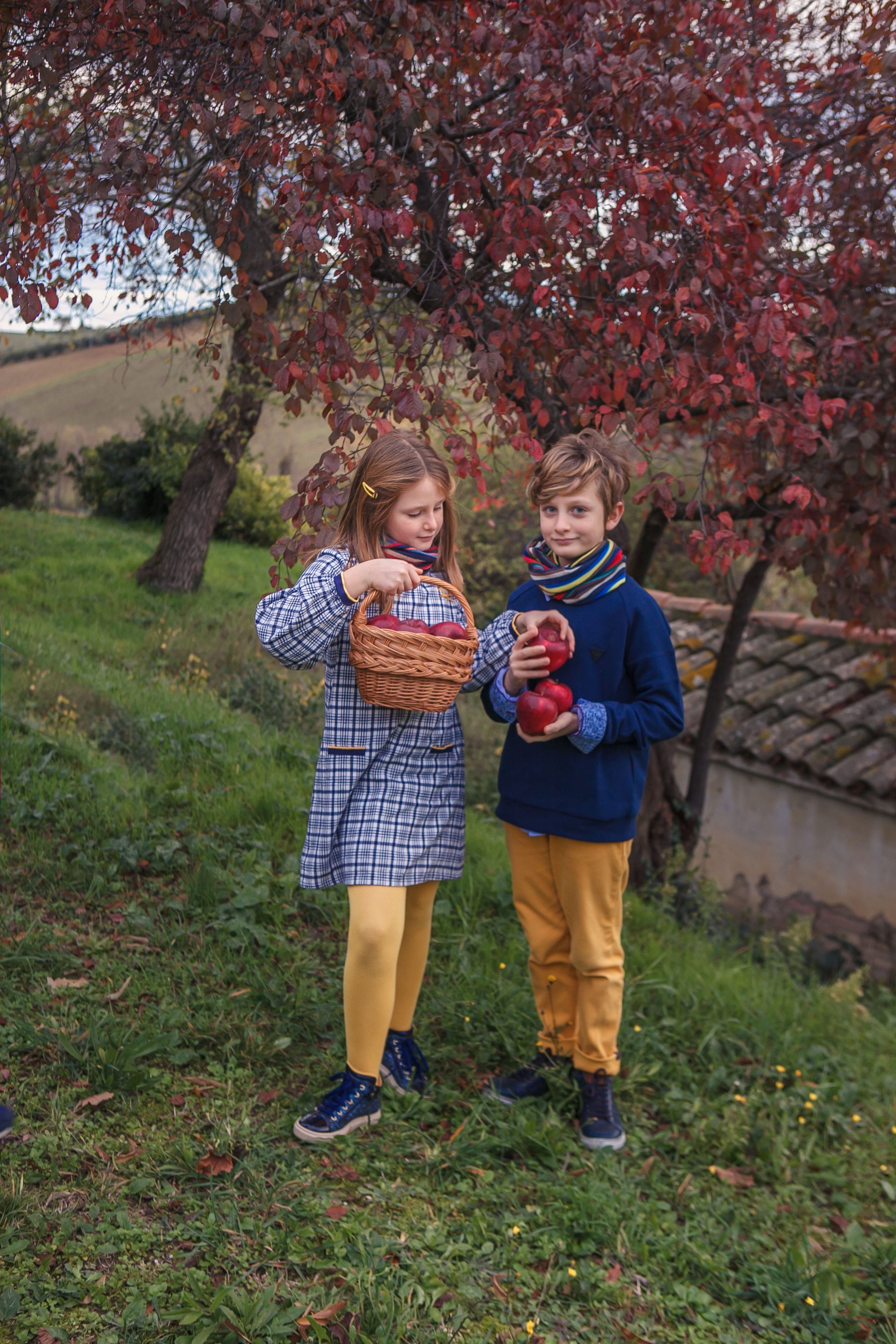 Autumn in Macerata. Professional photographer based in Rome