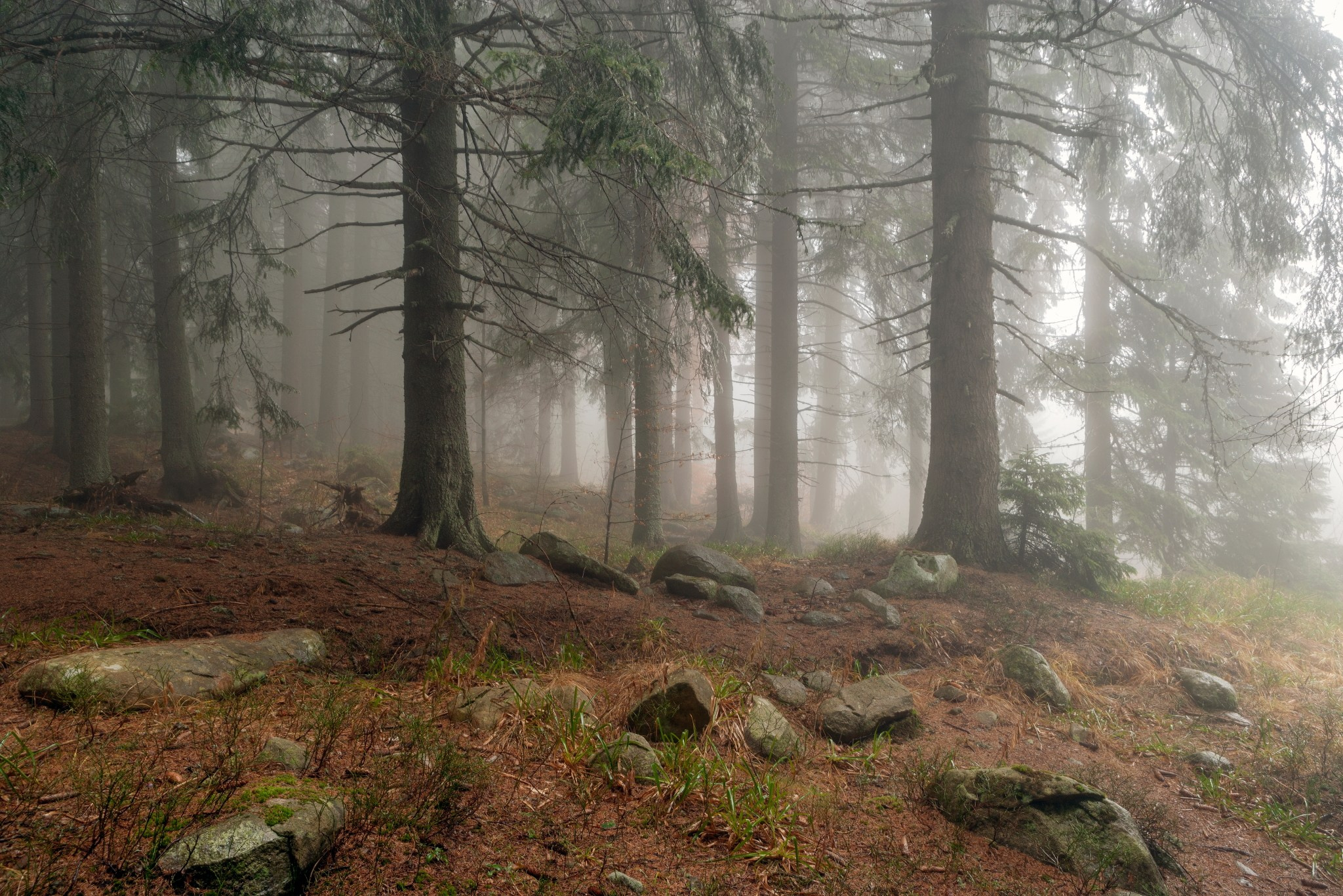 Планини. Александър Сандев - личен сайт на фотографа