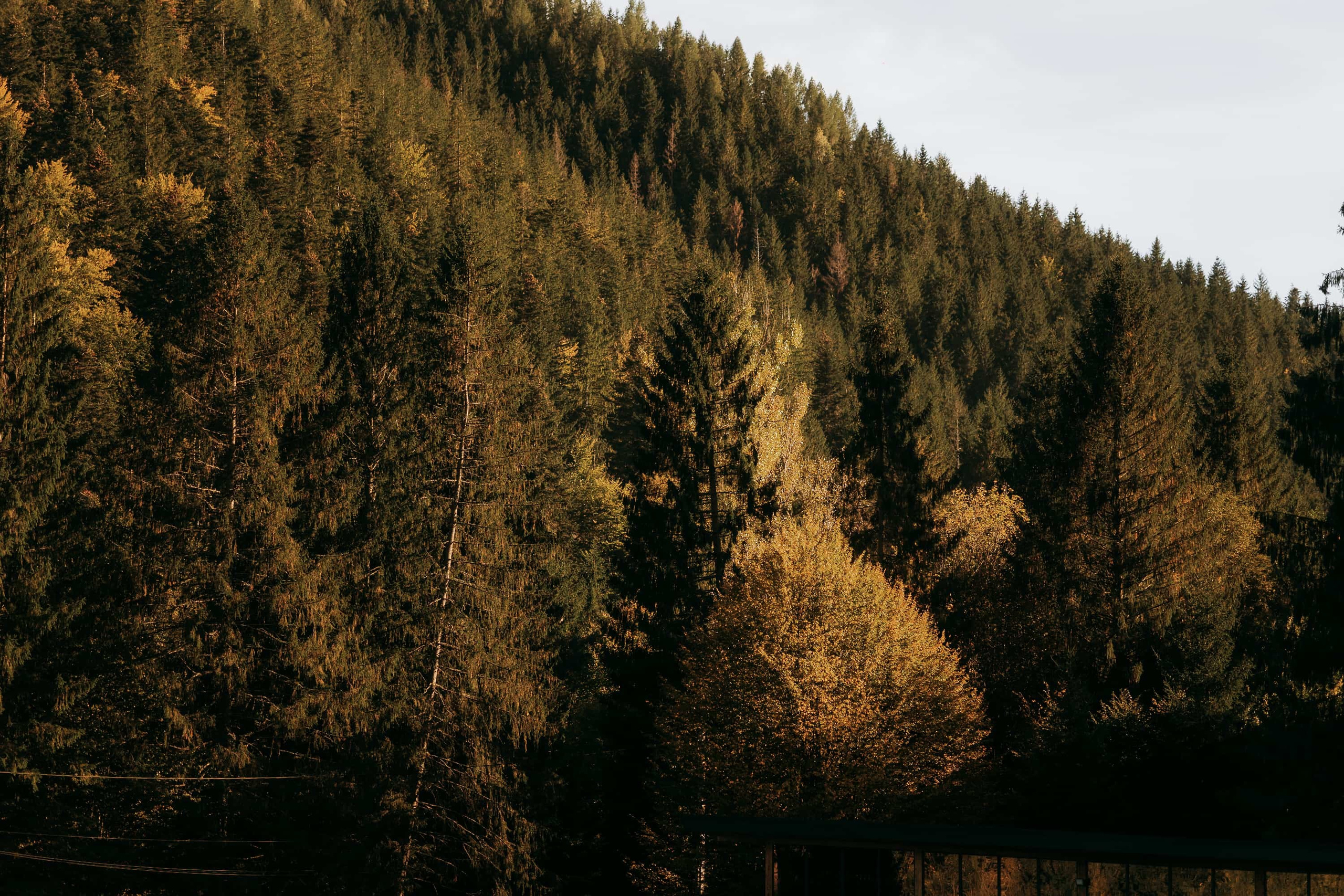 Briana & Andrei — wedding day