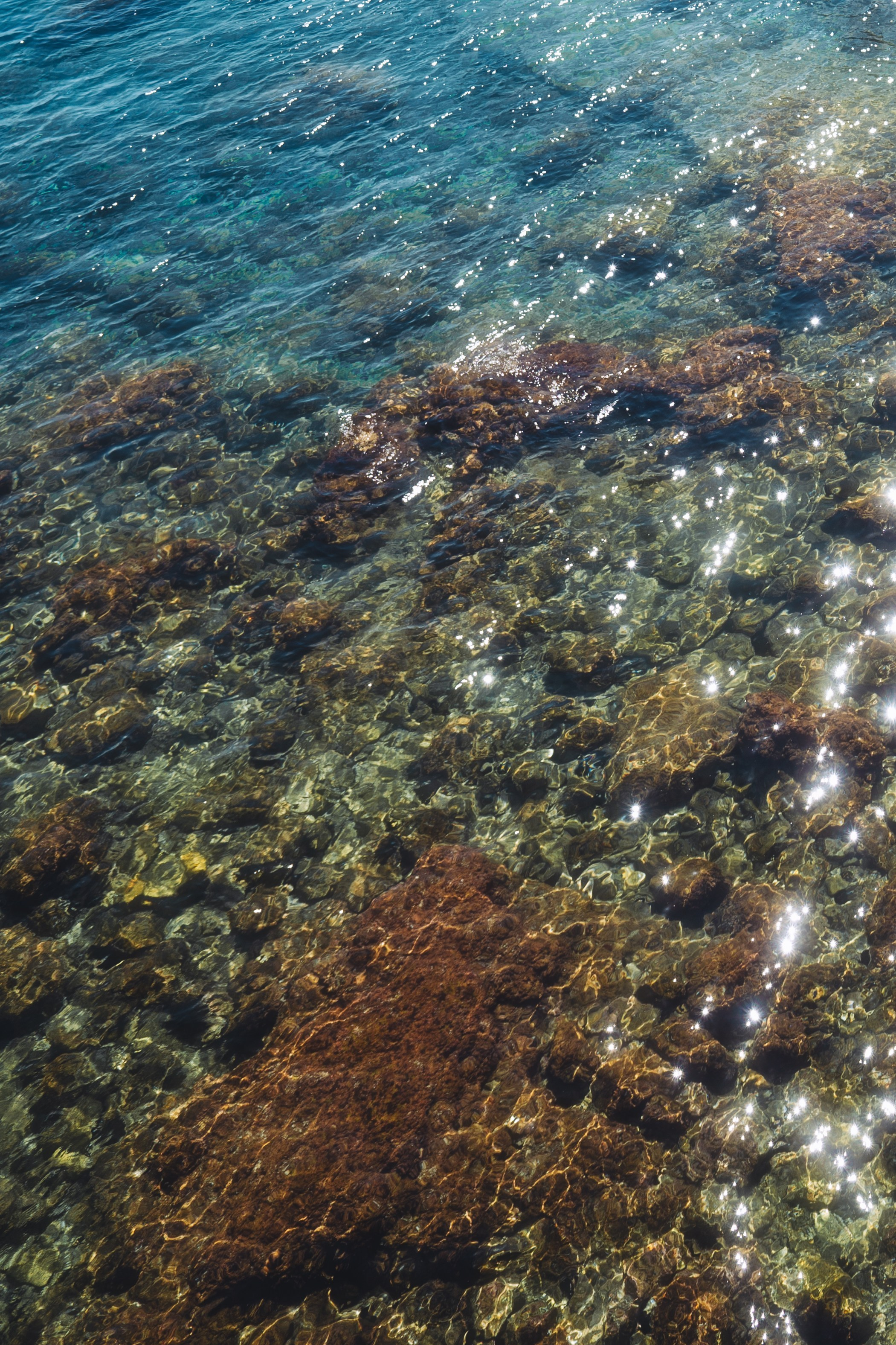 Roaming. Mike Avelli