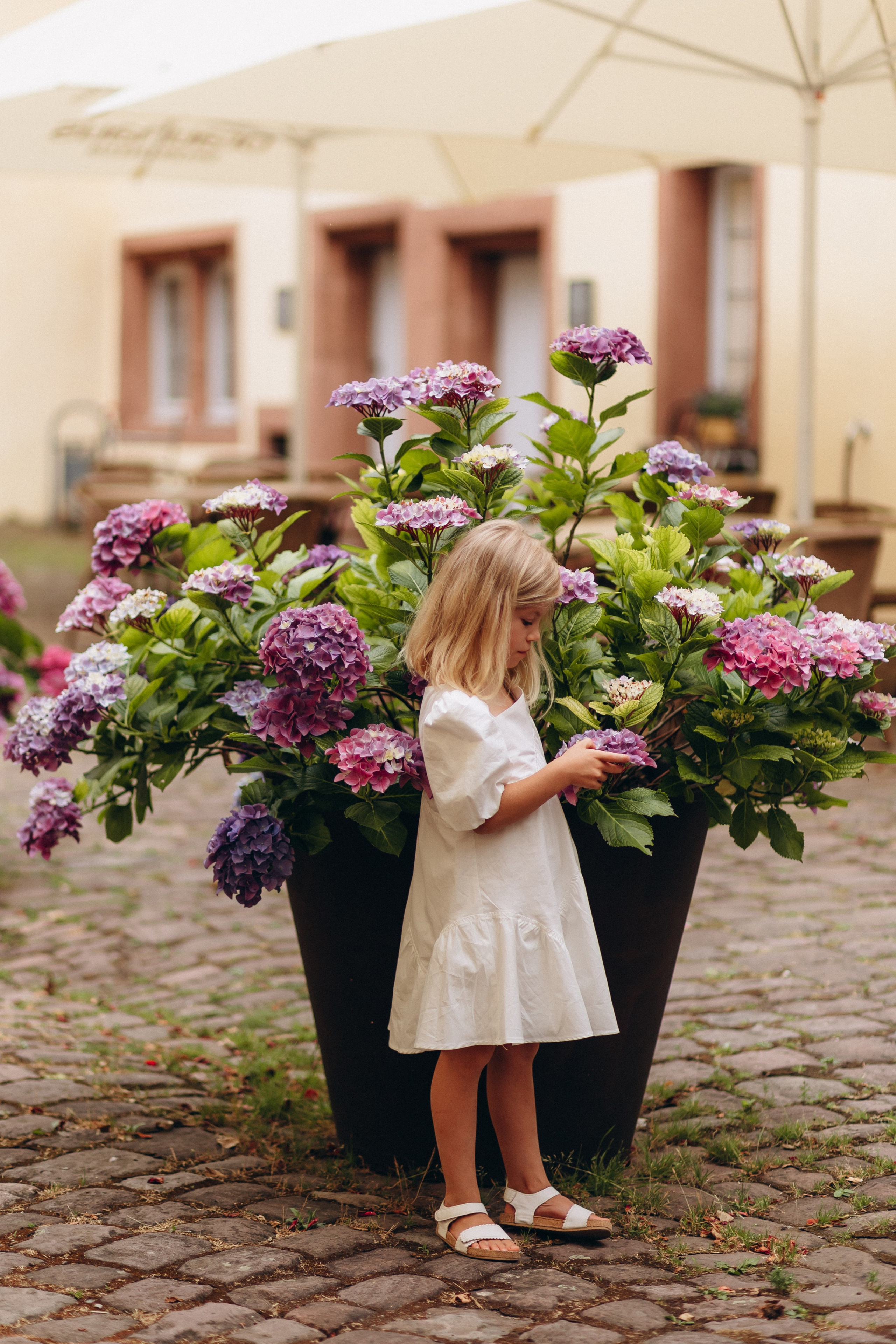 Pretty Family. Wedding and Family Photograph