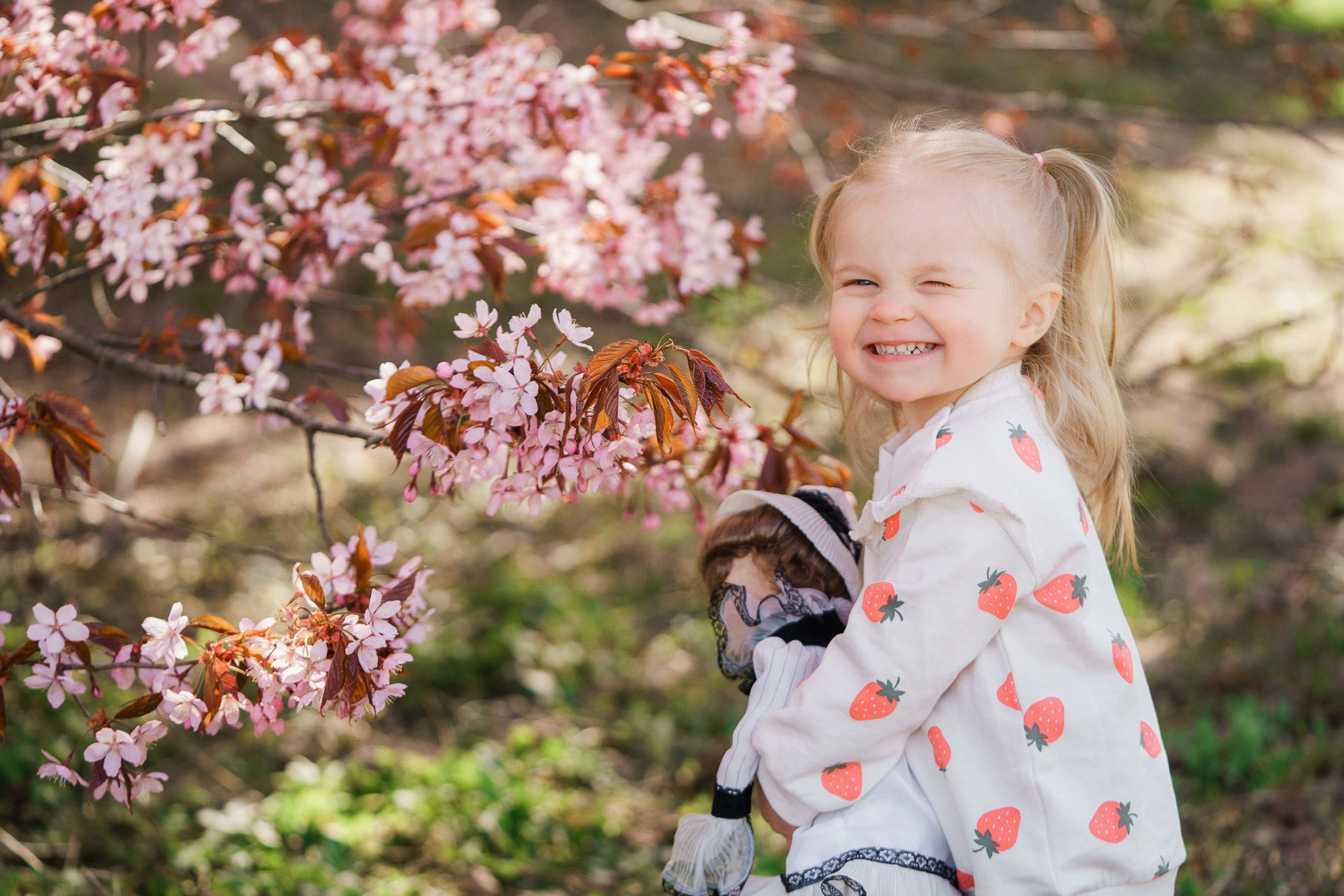 Perhekuvaus kirsikkapuistossa Helsingissä
