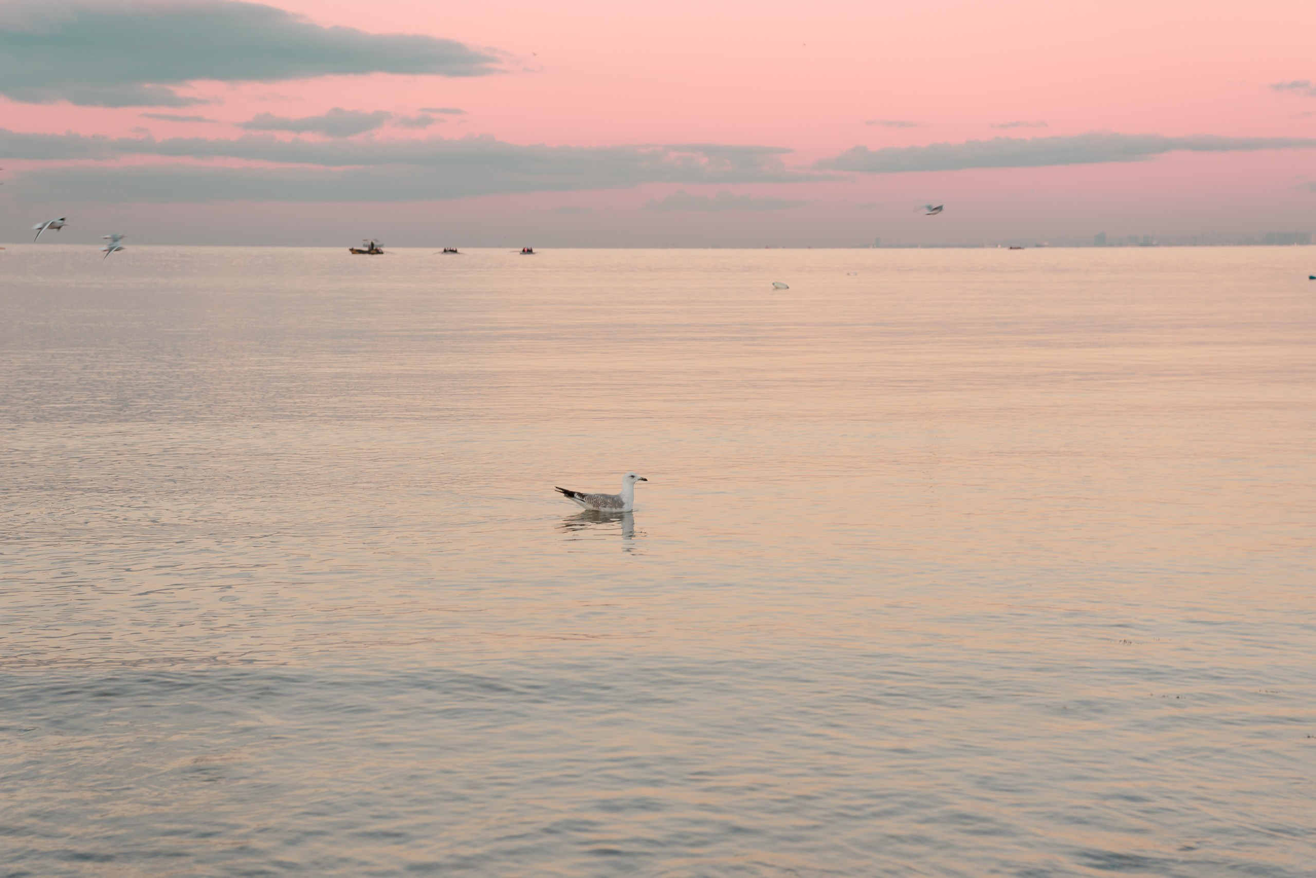 Luxury pregnancy photo shoot in Istanbul. MARIA VALUEVA Photographer in Nice, Cannes, Monaco, France, Europe, Istanbul, Turkey