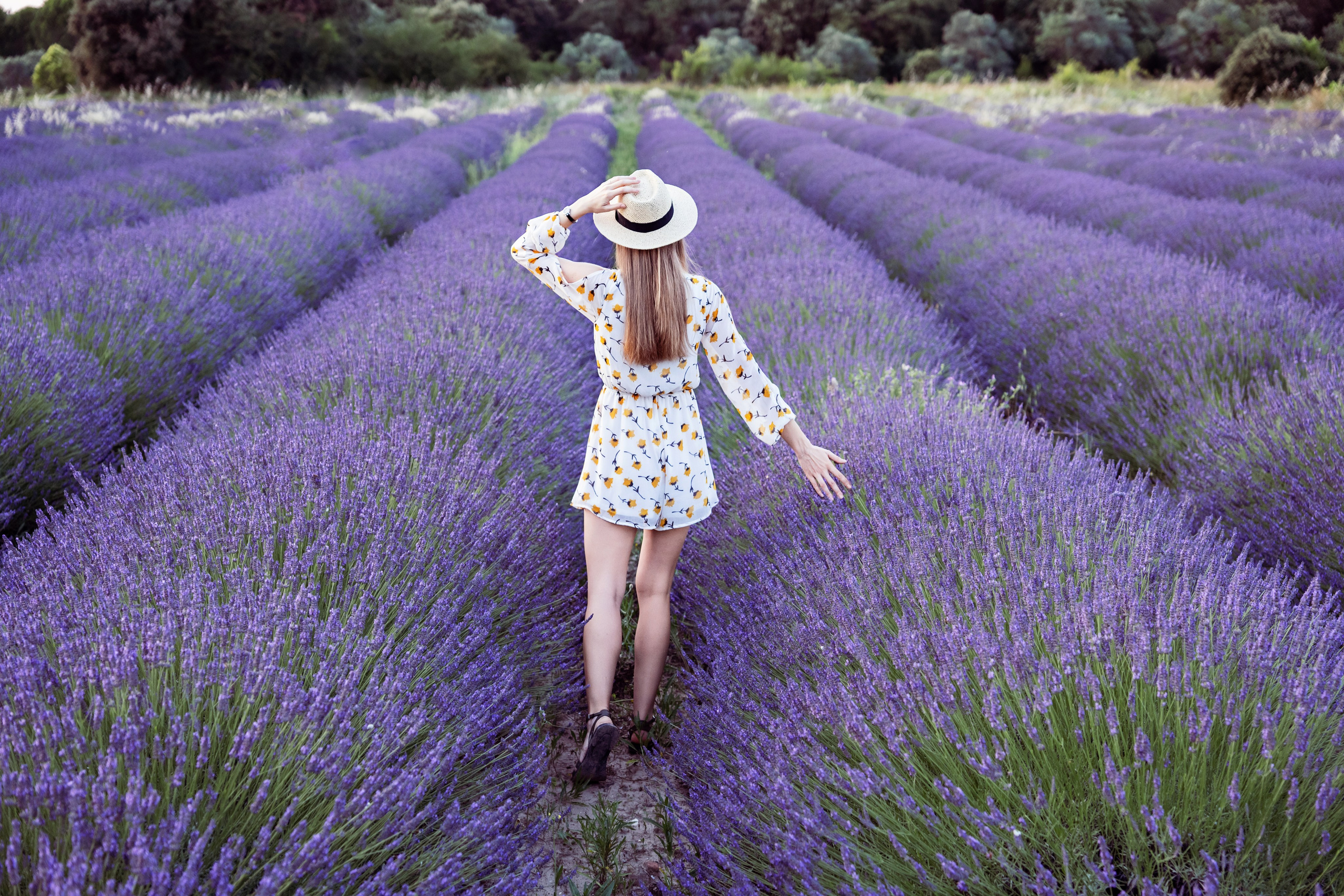 Photoshoot in lavanda fields