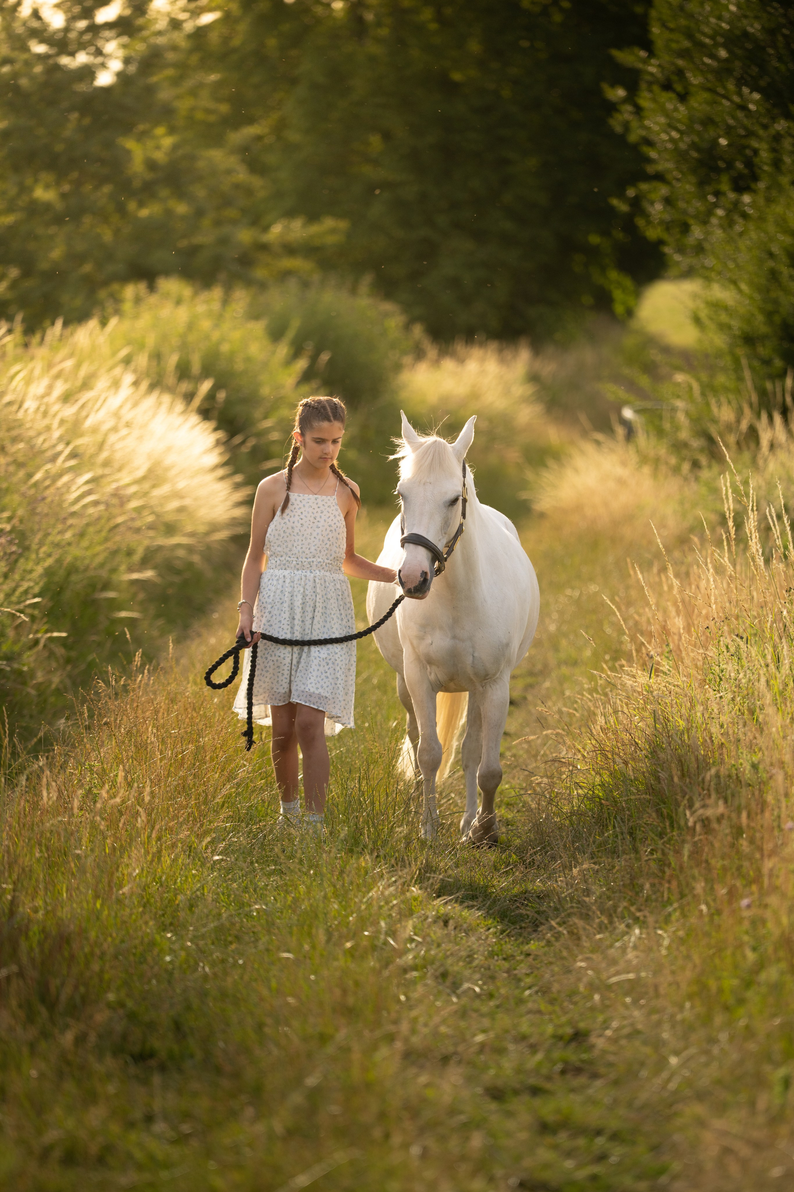 Equine Photography Portfolio | Leicestershire Horse Portrait Photographer. Leicestershire Equine Photography by El | Authentic Equine Portraits & Events