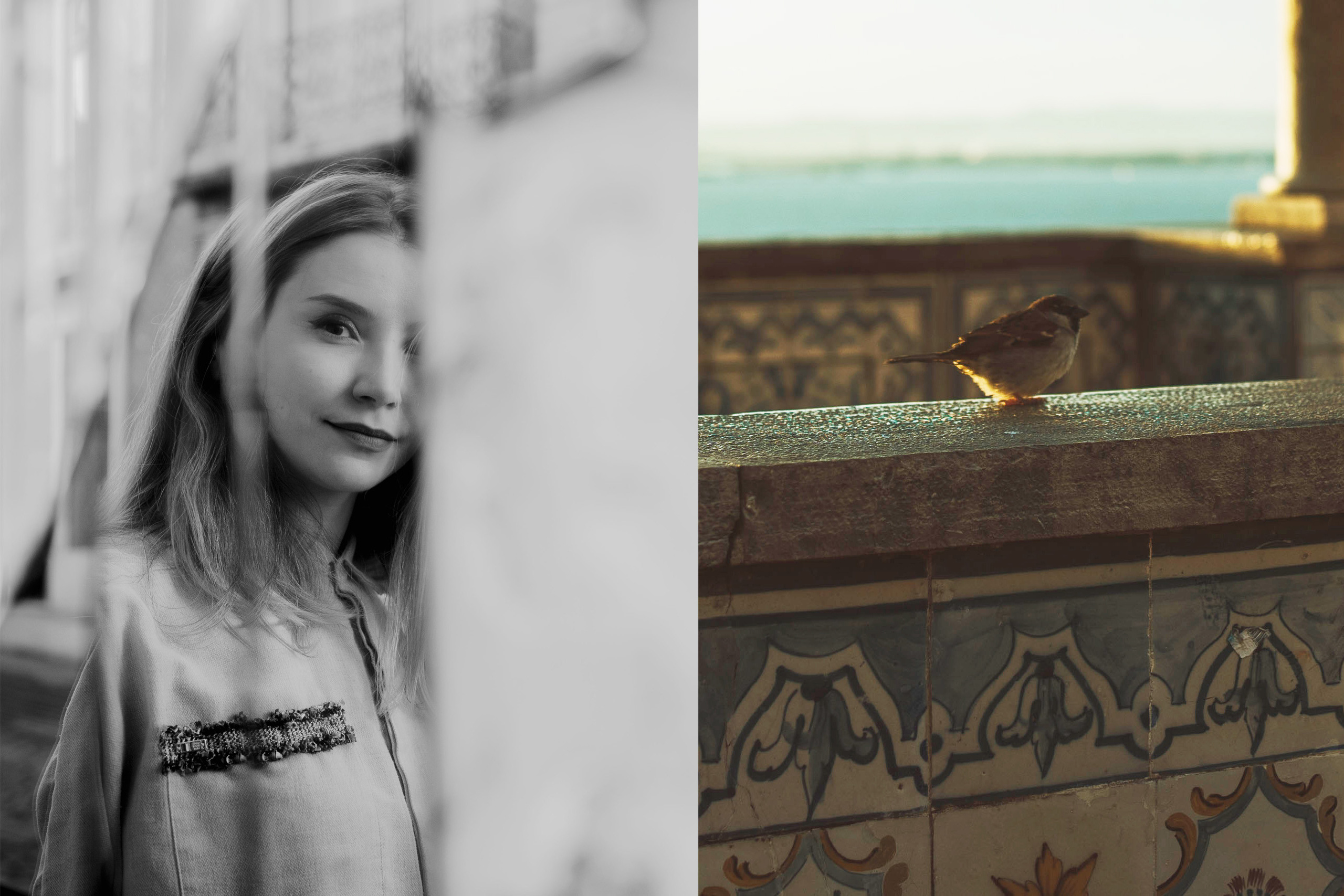 Collage with a black and white broken mirror portrait combined with a picture of a little sparrow. 