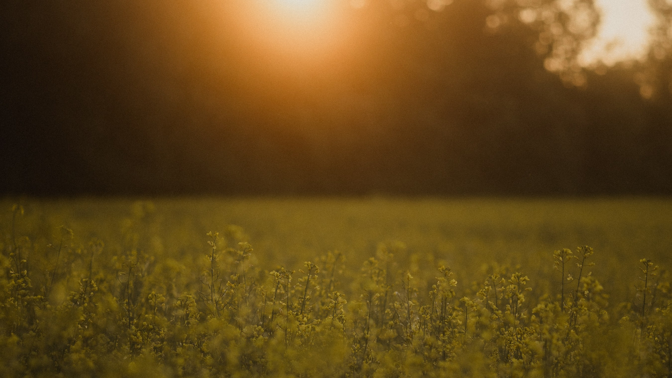 Portrait Bildgalerie. Deine Fotografin aus Baden-Württemberg und der Südpfalz